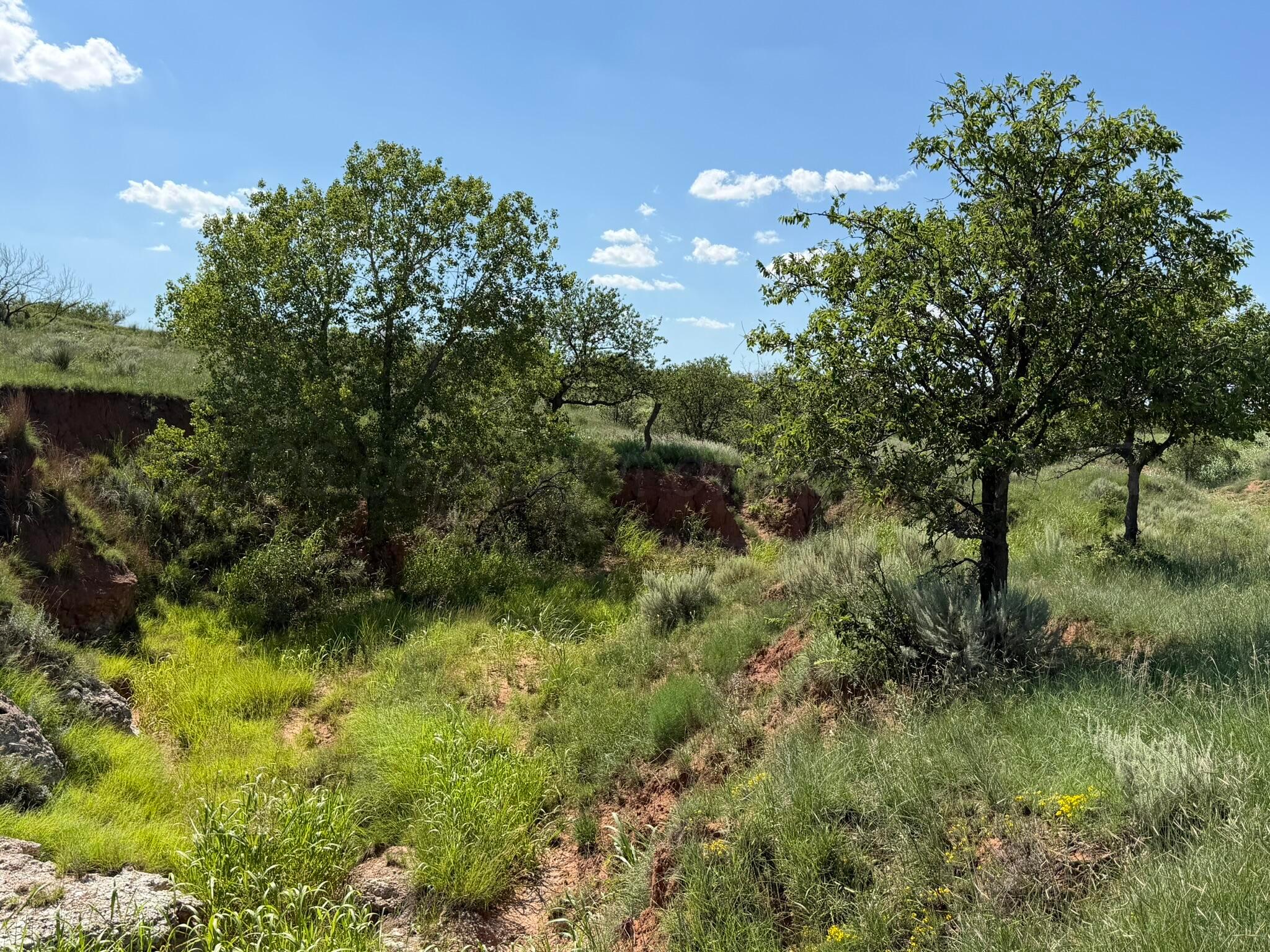 15400 County Road I Property Photo 31