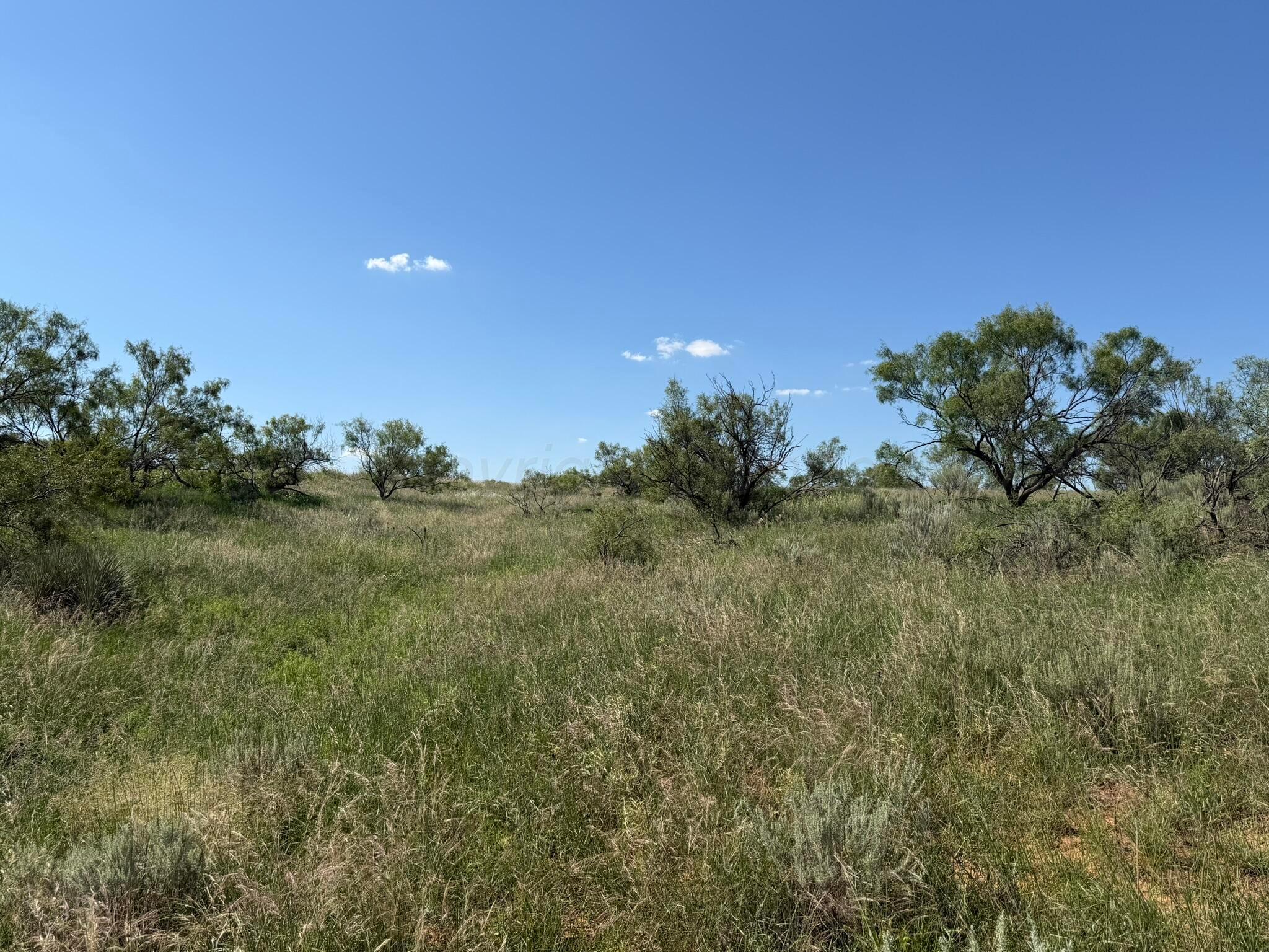 15400 County Road I Property Photo 37