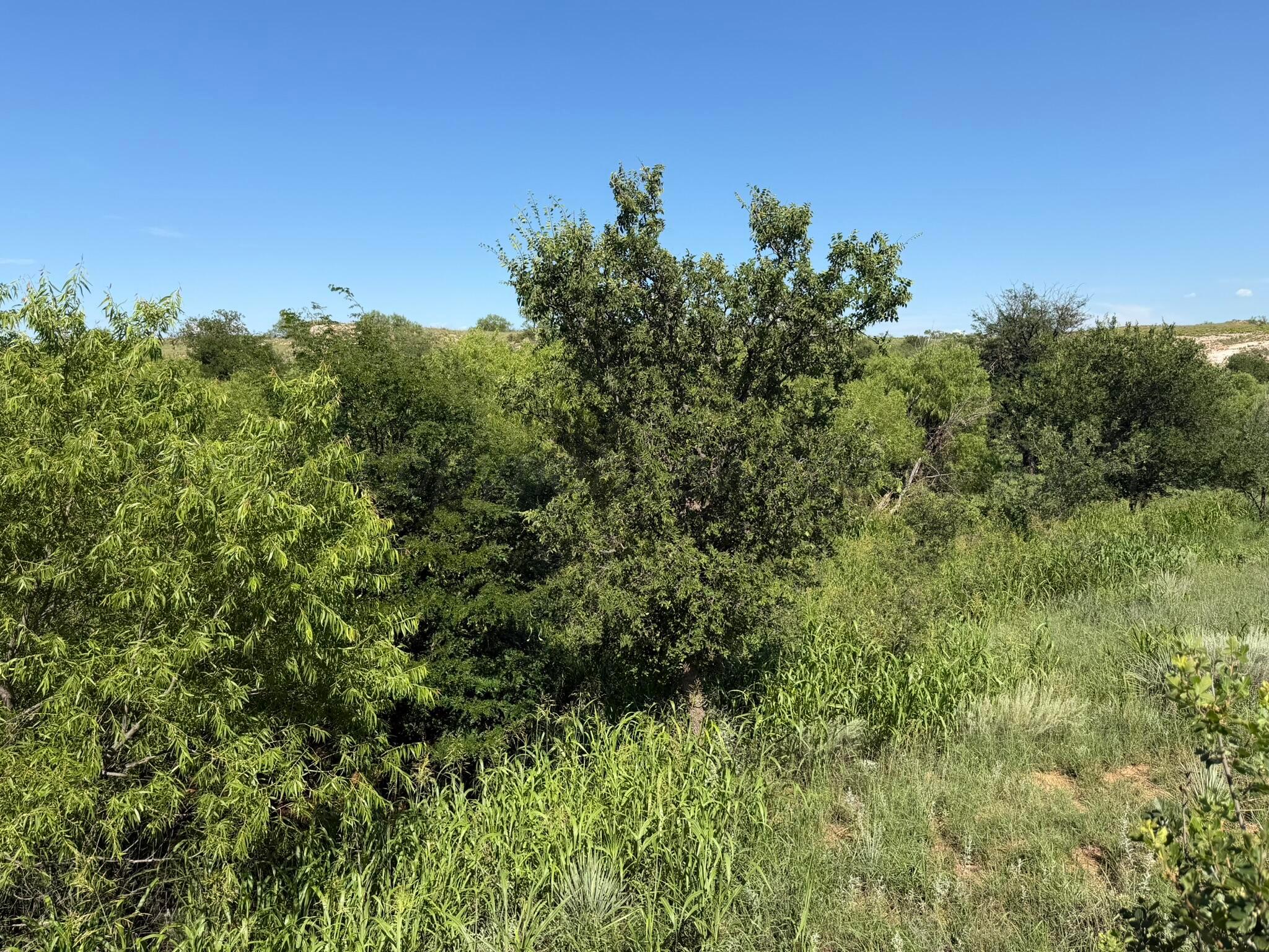 15400 County Road I Property Photo 42