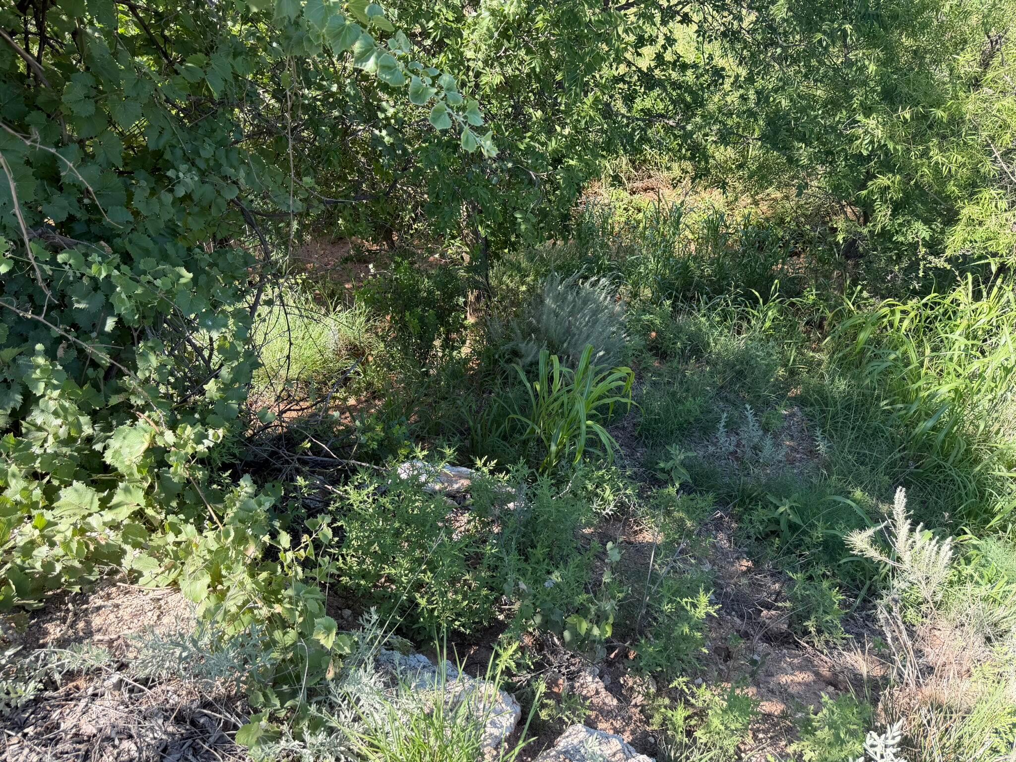 15400 County Road I Property Photo 43