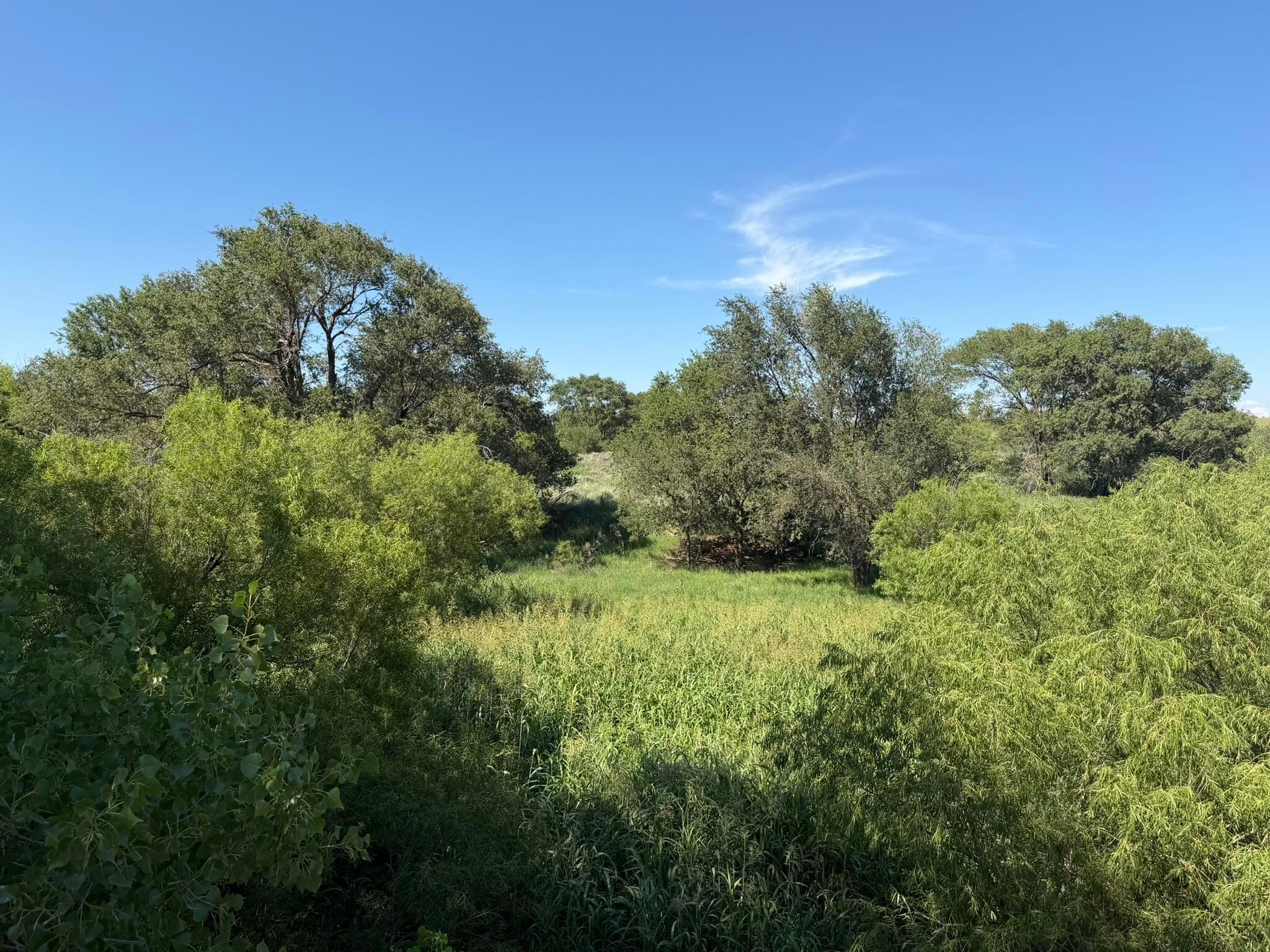 15400 County Road I Property Photo 44