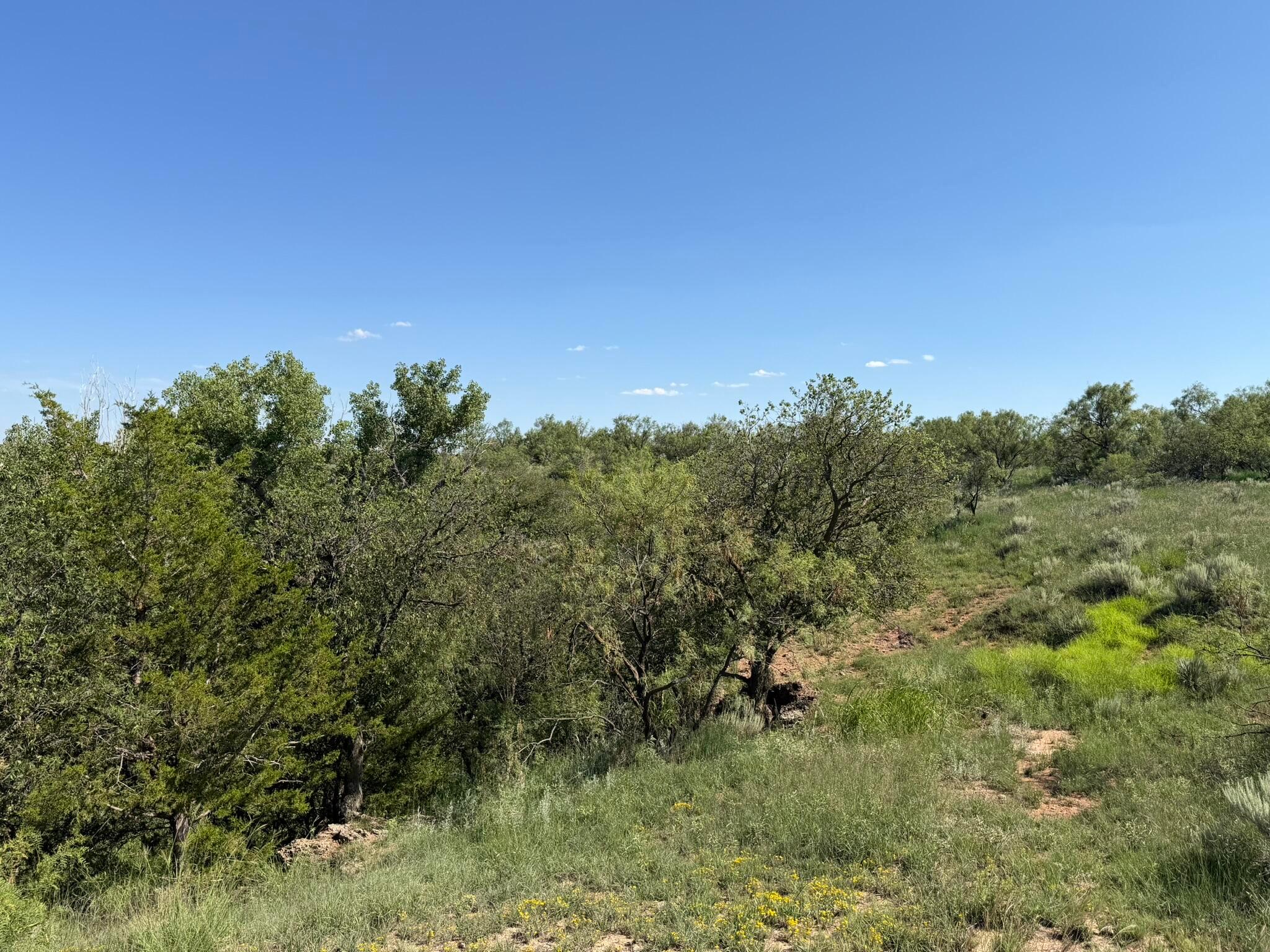 15400 County Road I Property Photo 53