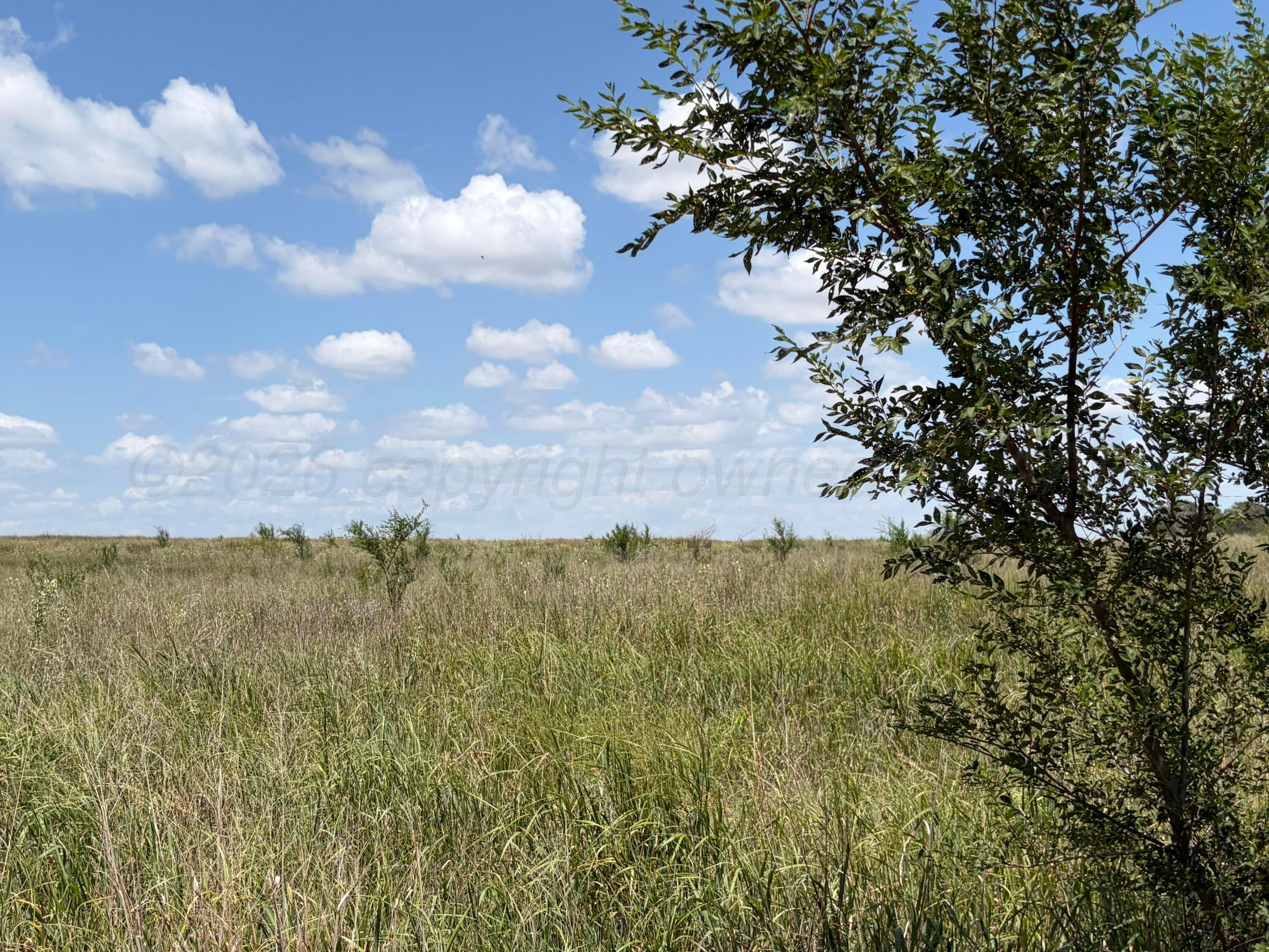 Tbd State Highway 203 Property Photo 1