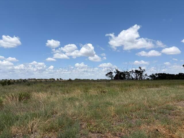 Tbd State Highway 203 Property Photo 3