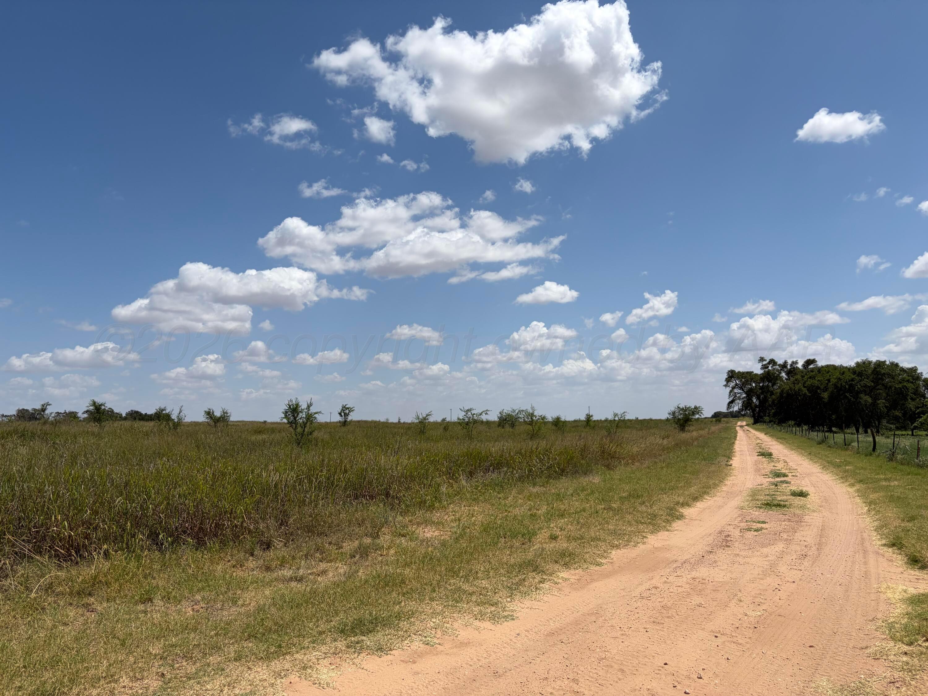 Tbd State Highway 203 Property Photo 4
