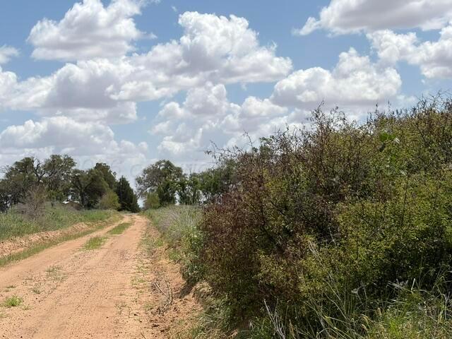 Tbd State Highway 203 Property Photo 7