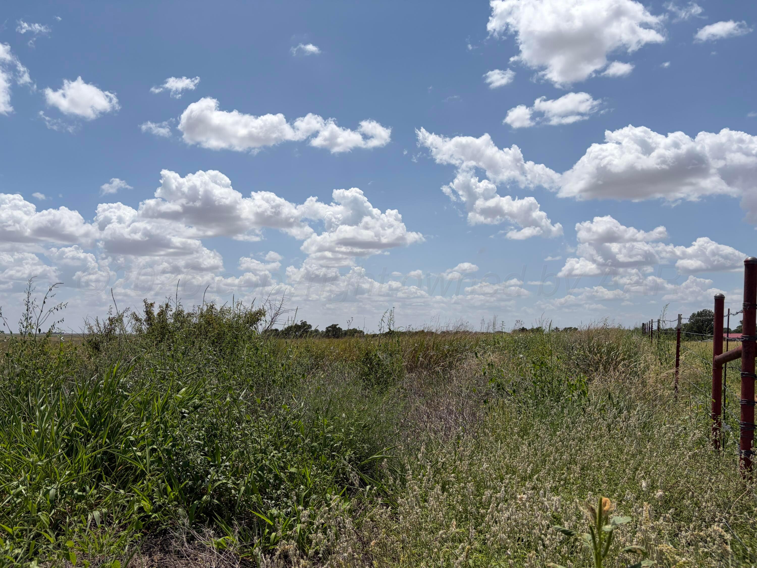 Tbd State Highway 203 Property Photo 8