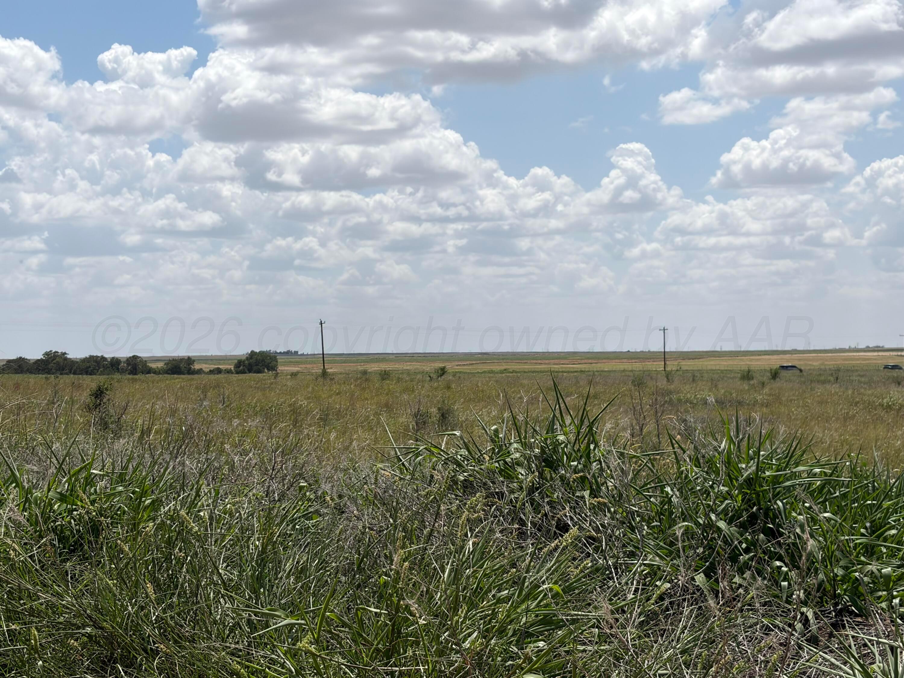 Tbd State Highway 203 Property Photo 9