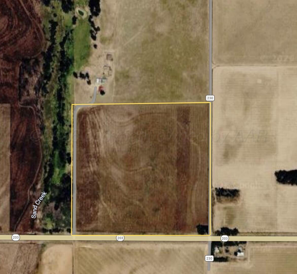 Tbd State Highway 203 Property Photo 11