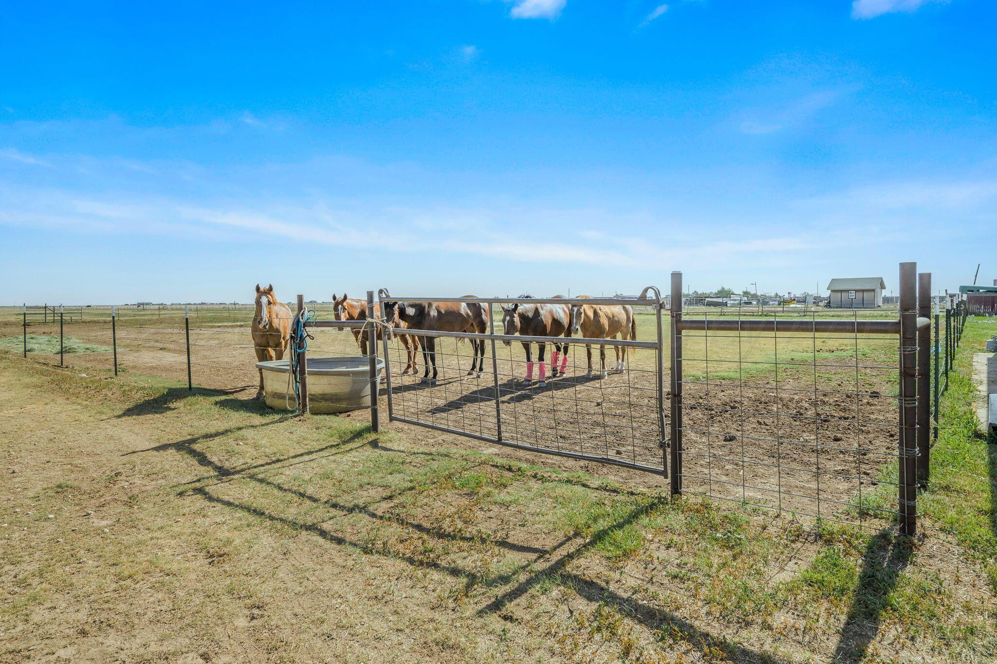 14480 Fm 1062 Property Photo 32