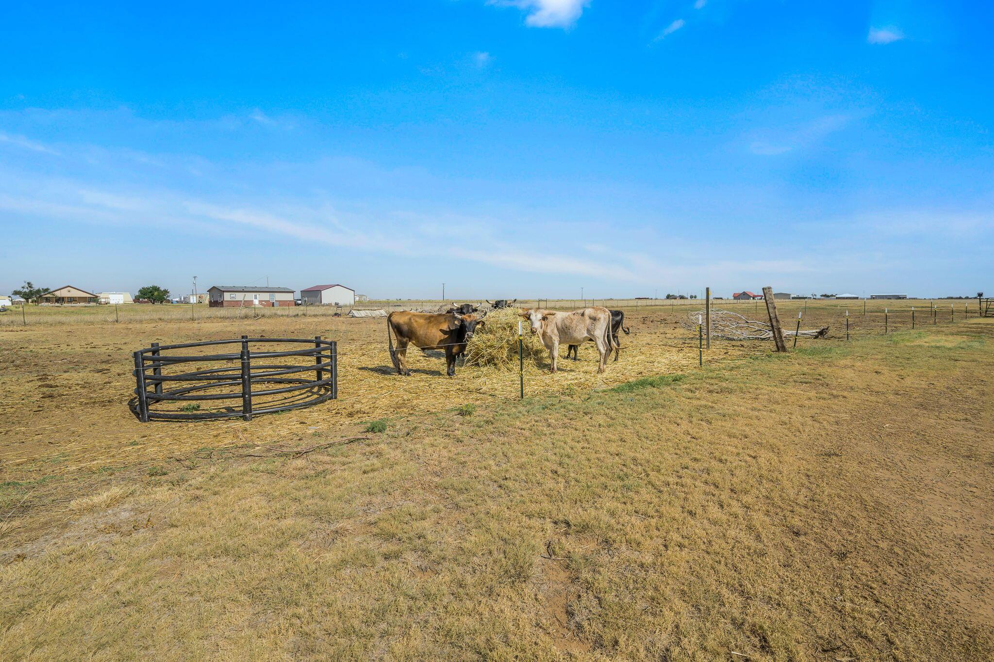 14480 Fm 1062 Property Photo 34