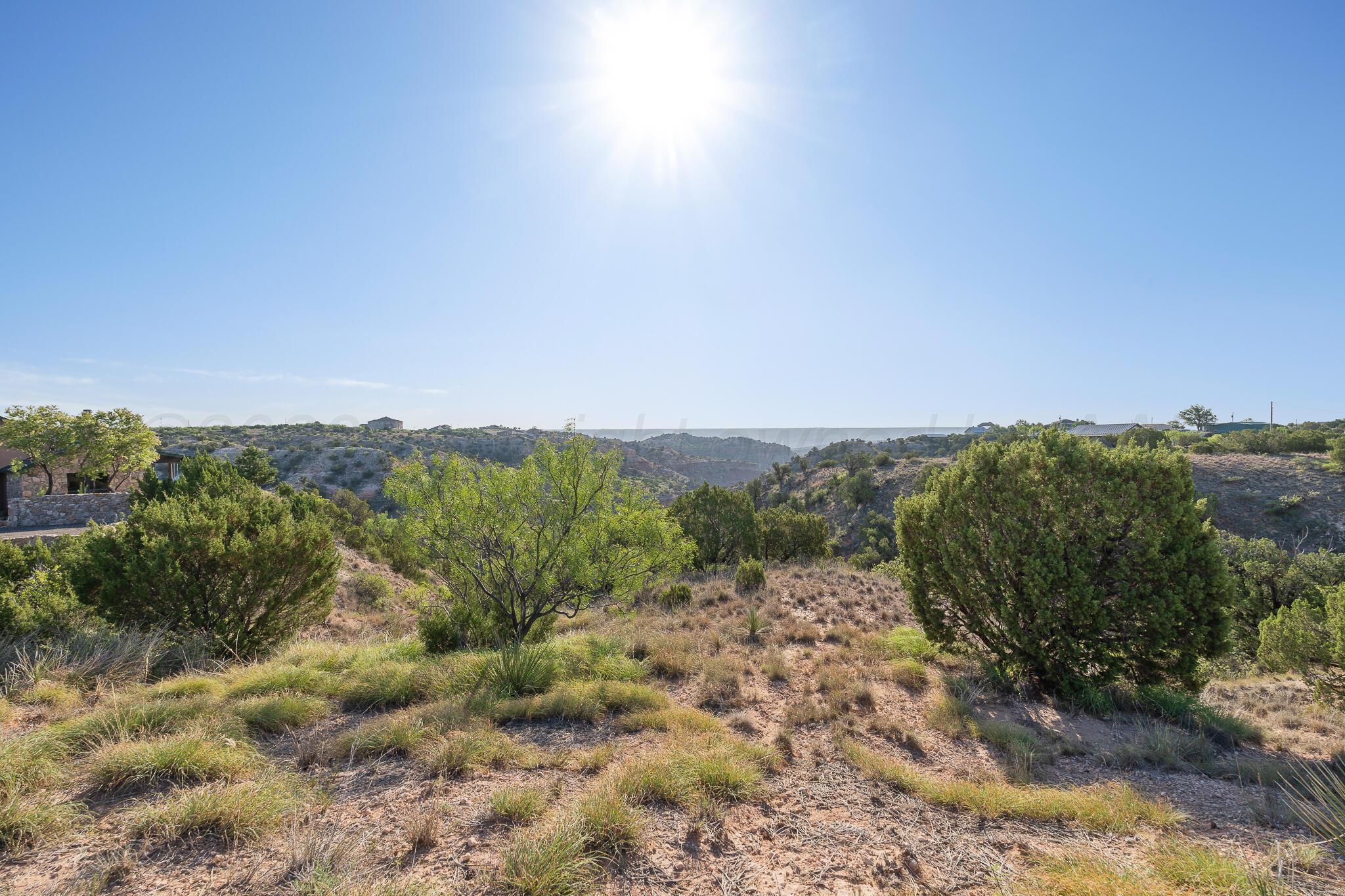 10451 Lighthouse Trail Property Photo 8