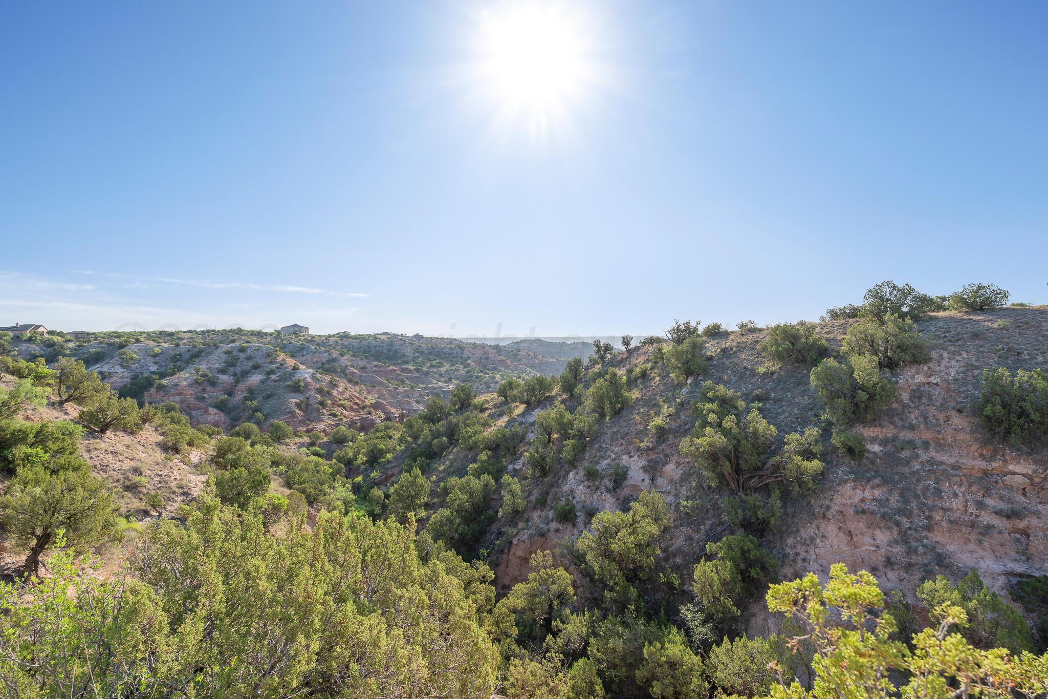 10451 Lighthouse Trail Property Photo 9