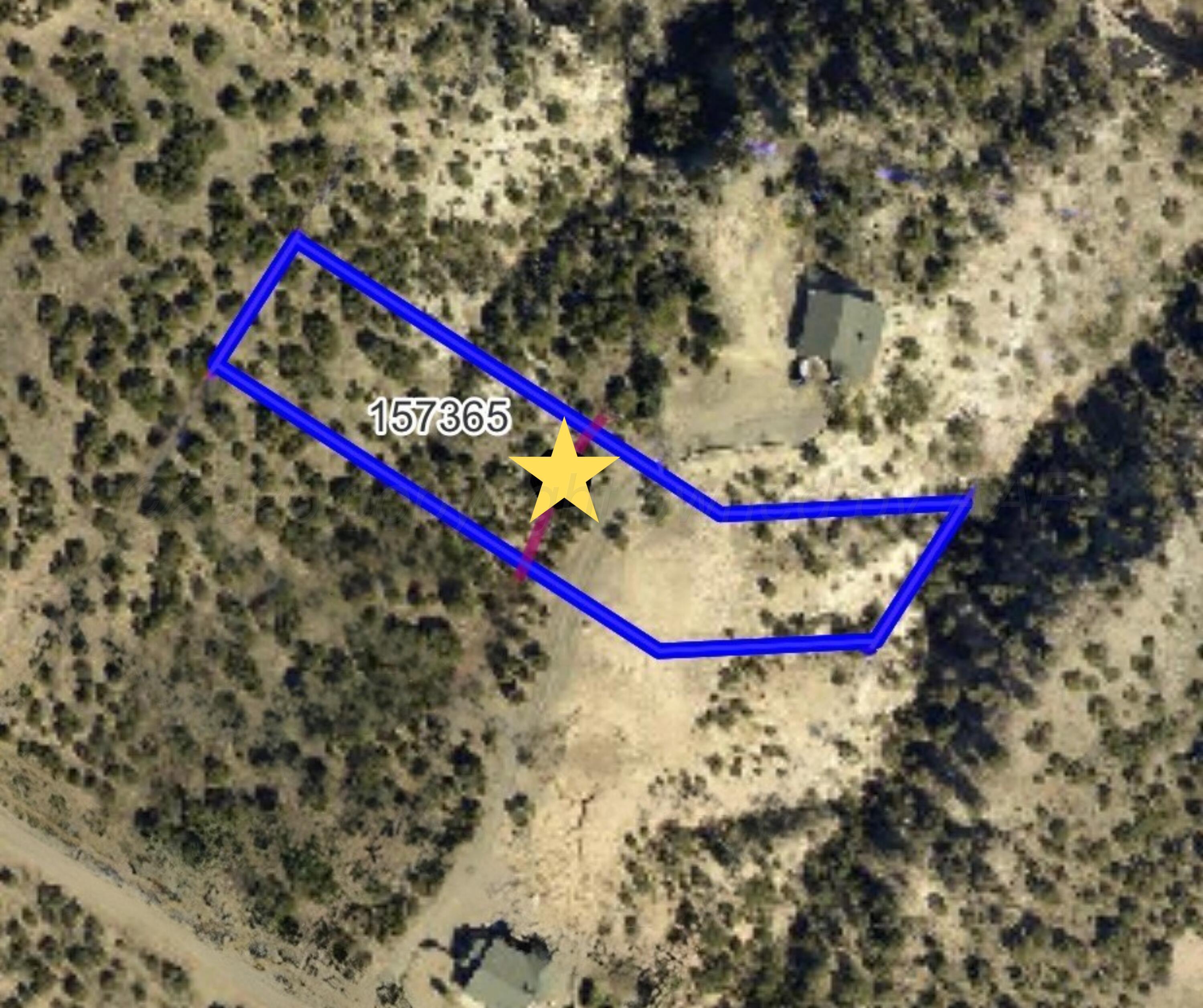 10451 Lighthouse Trail Property Photo 23