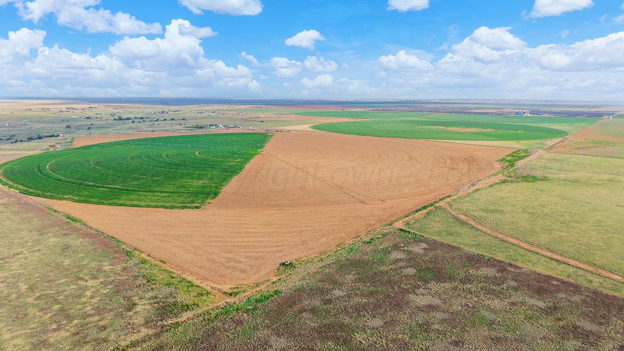 16351 City Lake Road Property Photo 8