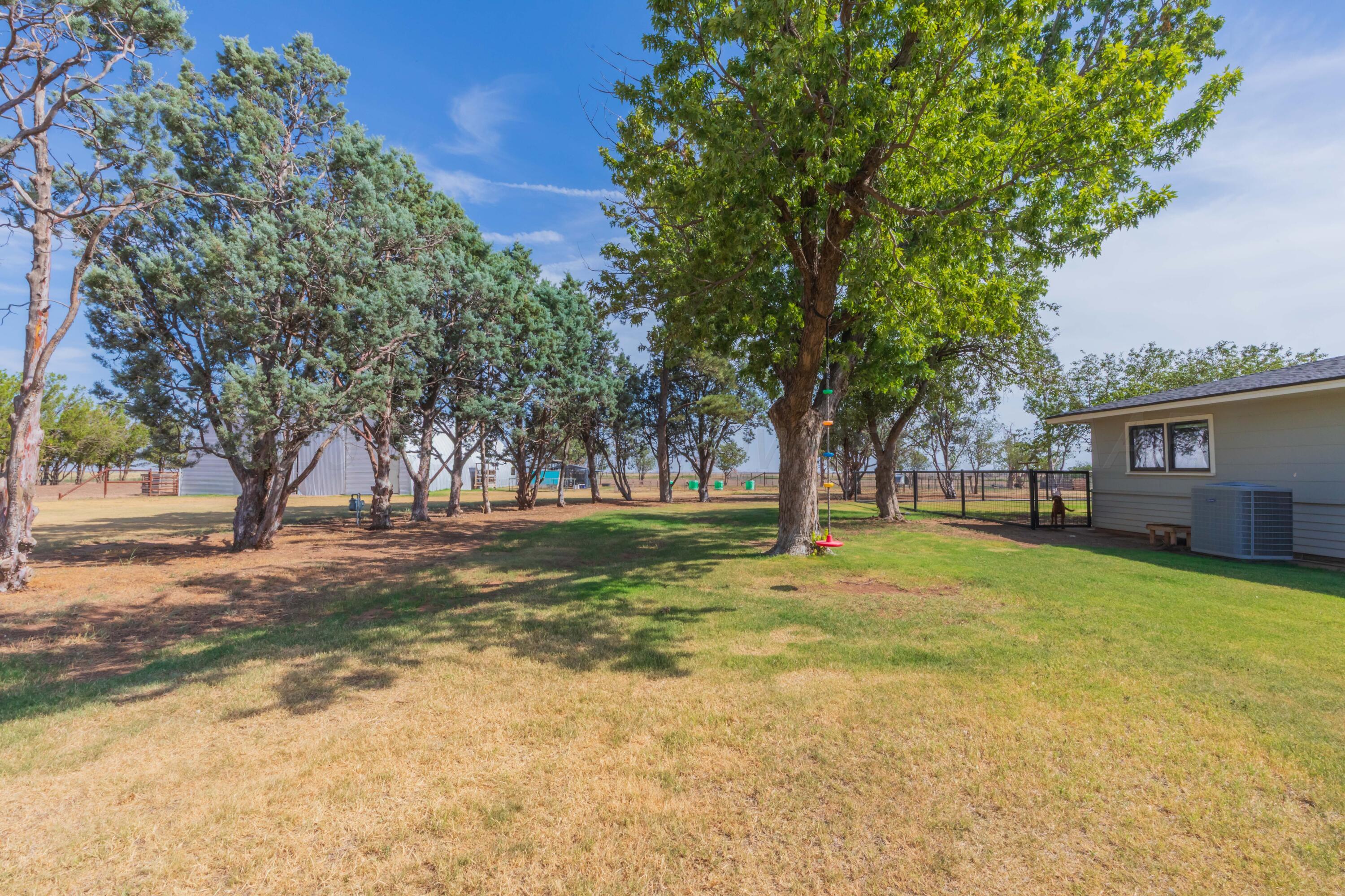 18062 Fm 1062 Property Photo 41