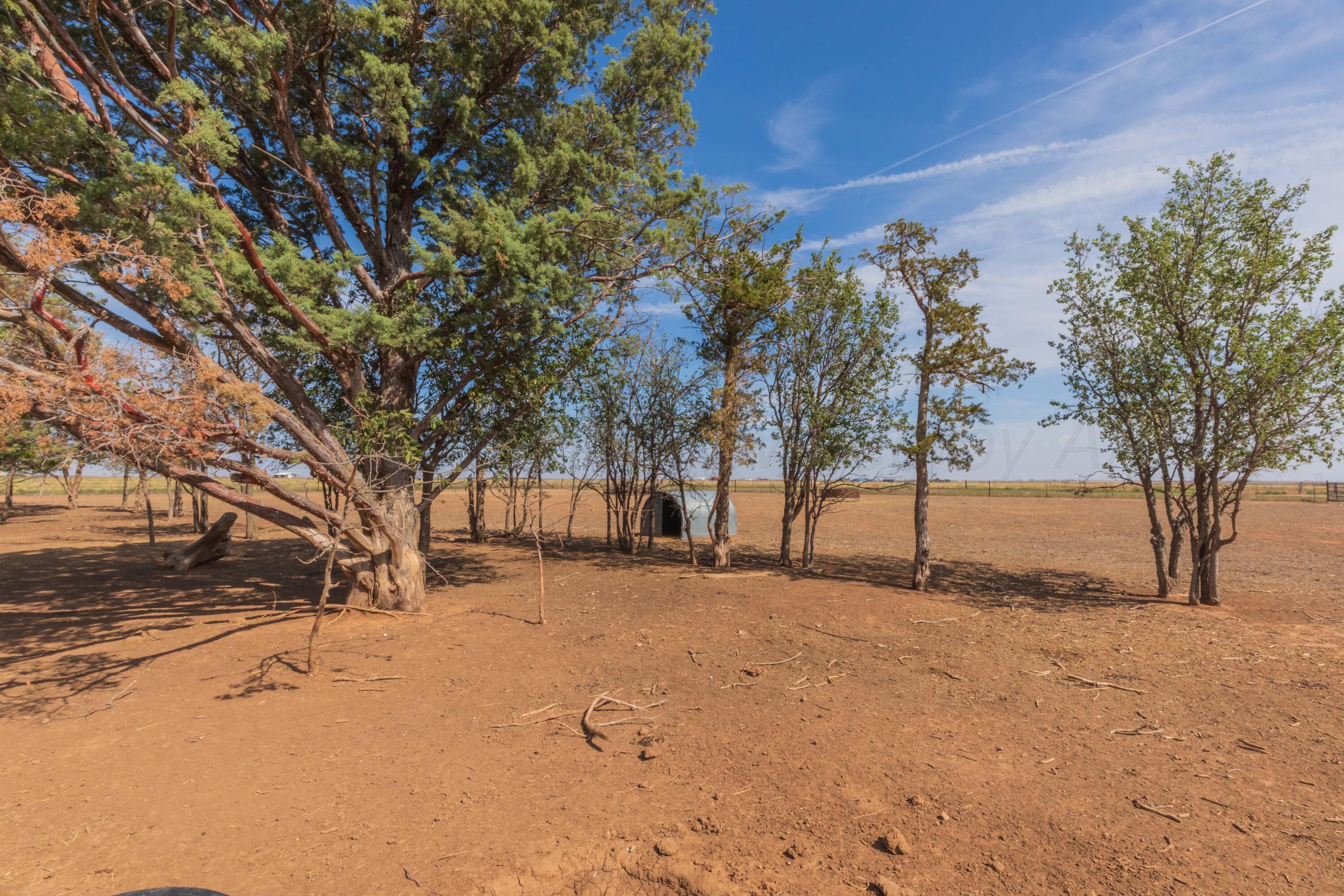 18062 Fm 1062 Property Photo 48