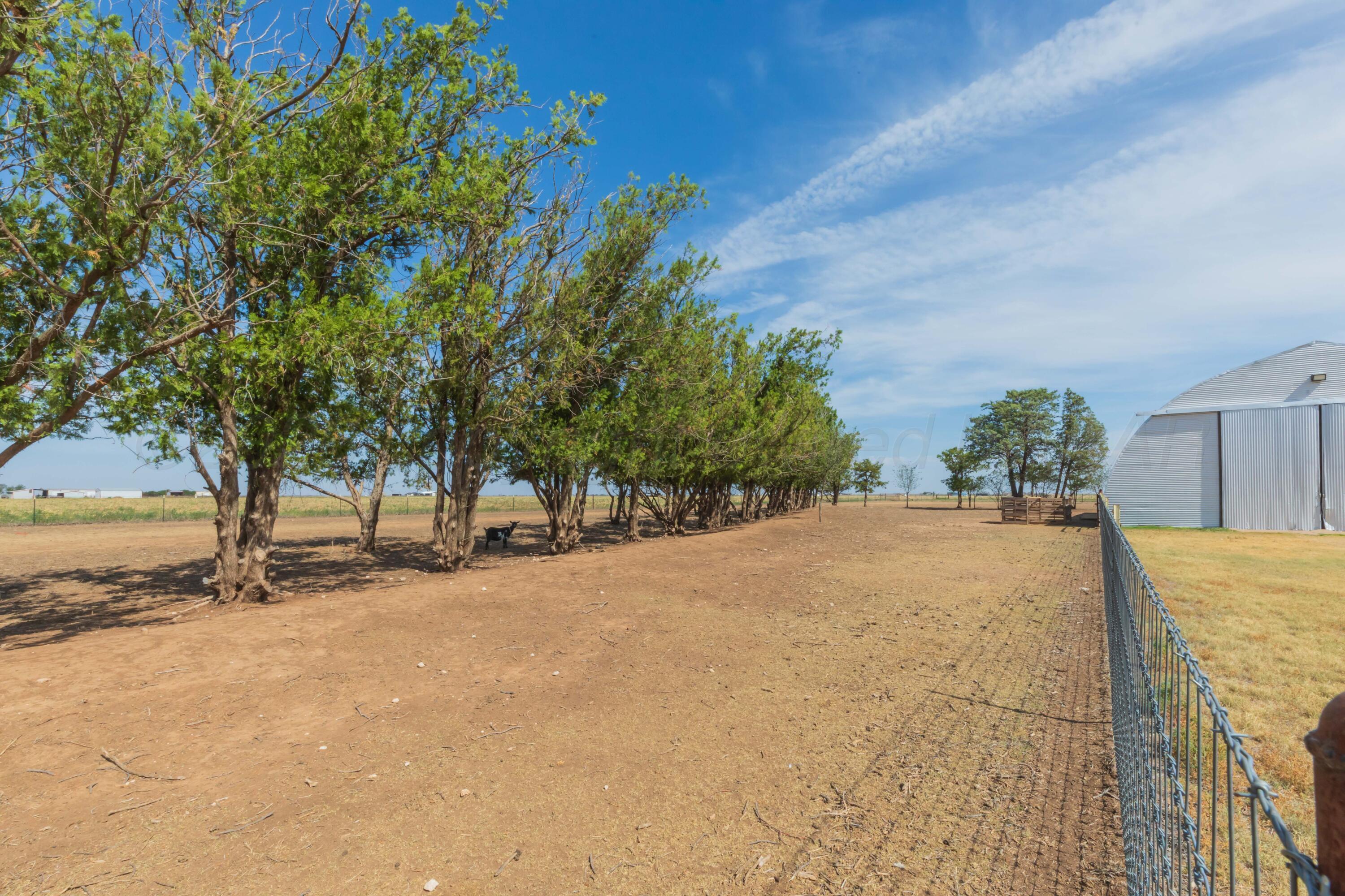 18062 Fm 1062 Property Photo 50
