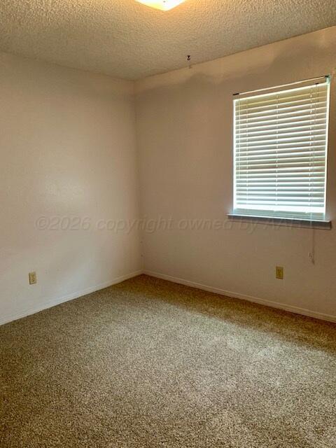 105 Avalon Street Property Photo 34
