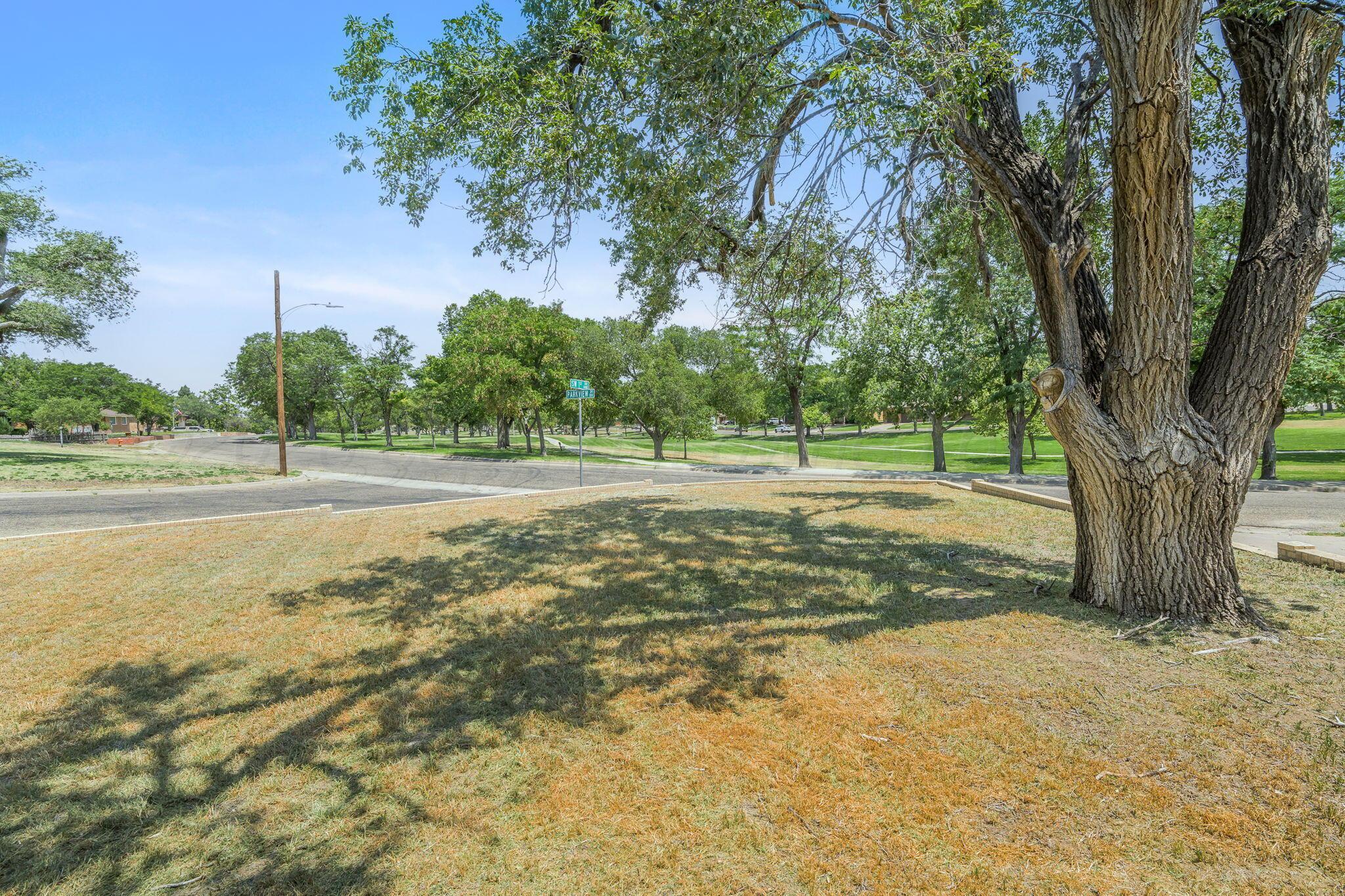 107 Parkview Drive Property Photo 22