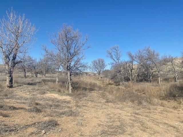 19201 Rocky Creek Drive Property Photo 11