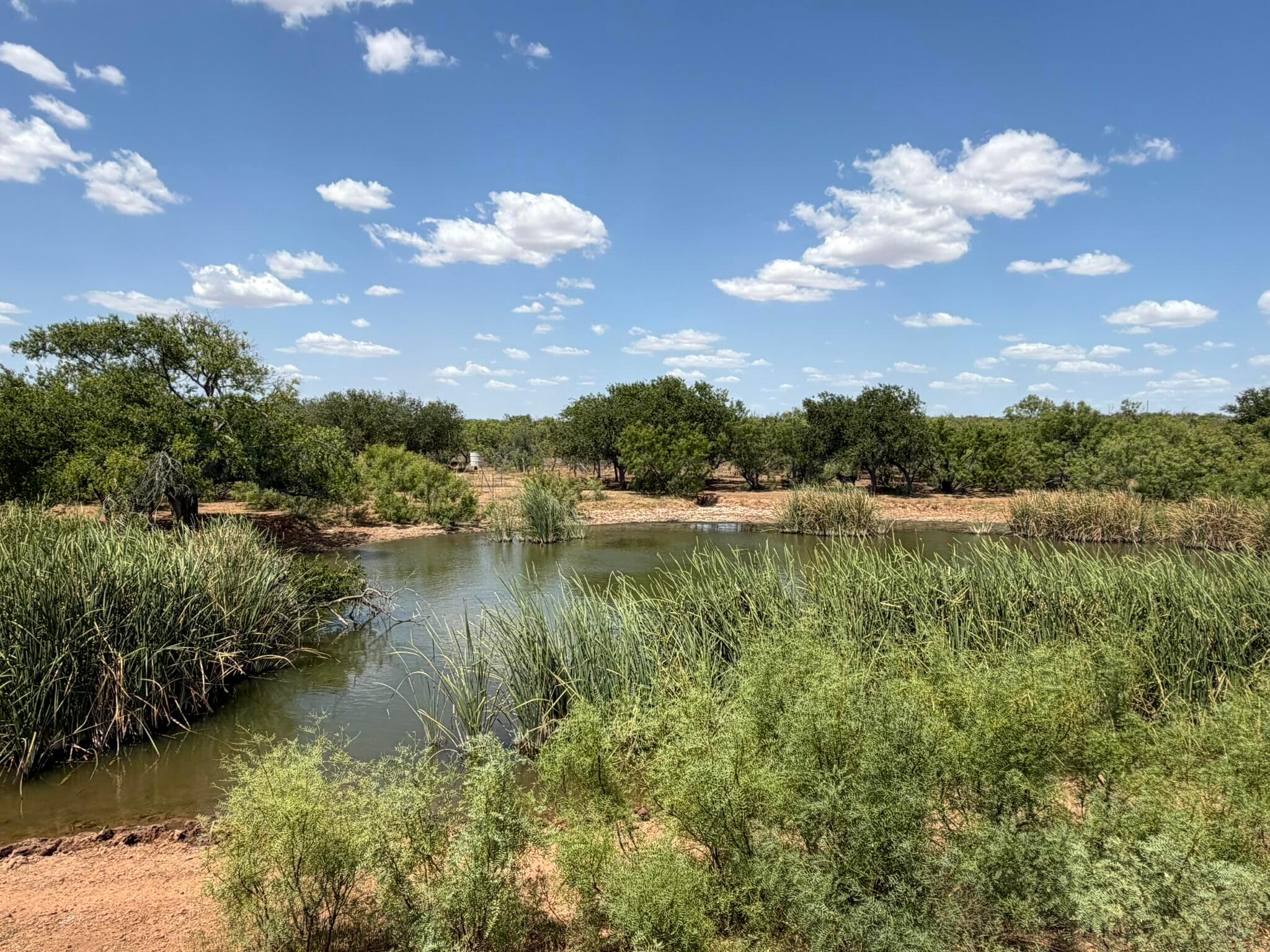 Tbd County Road M Property Photo 28
