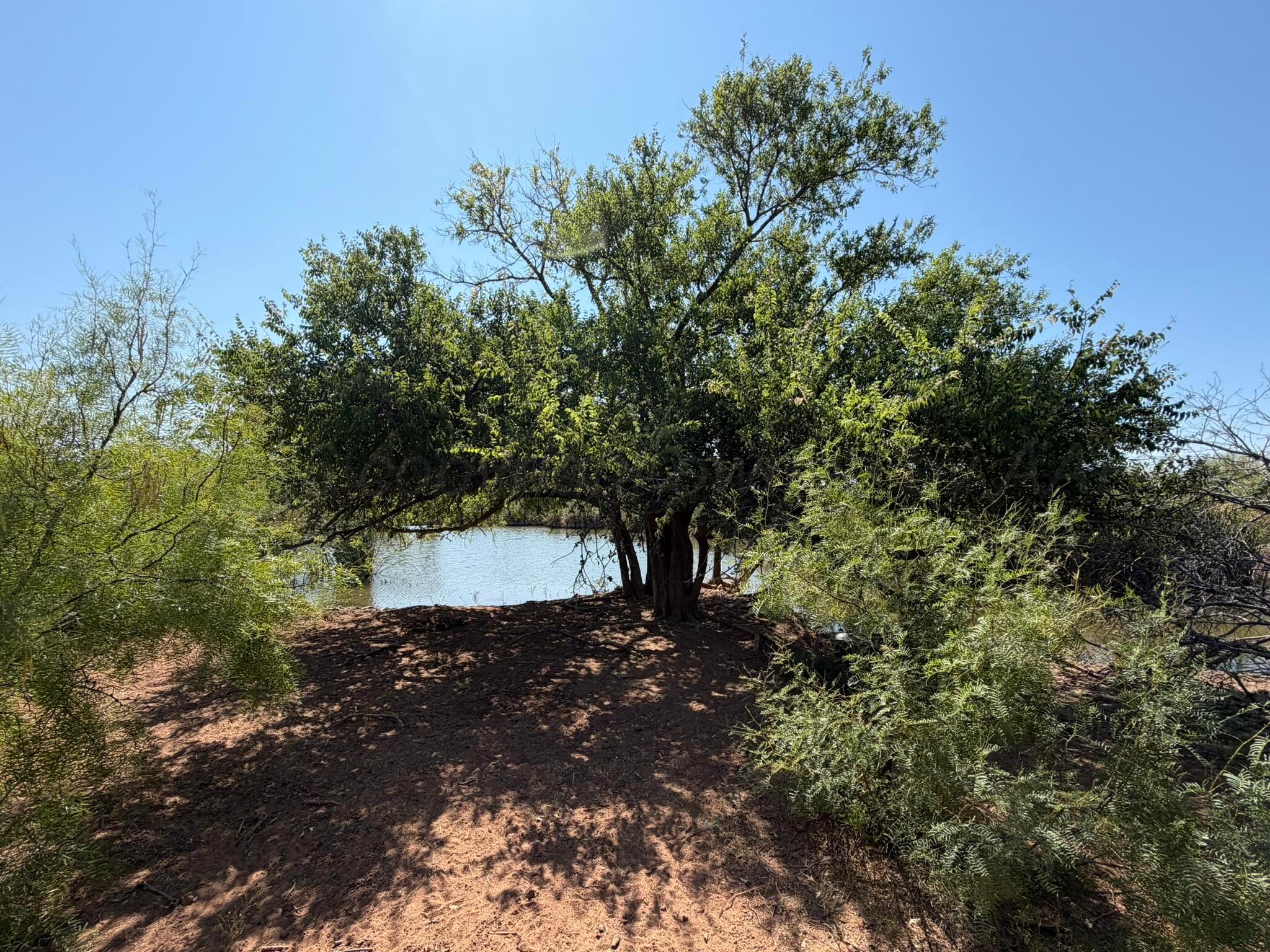Tbd County Road M Property Photo 31