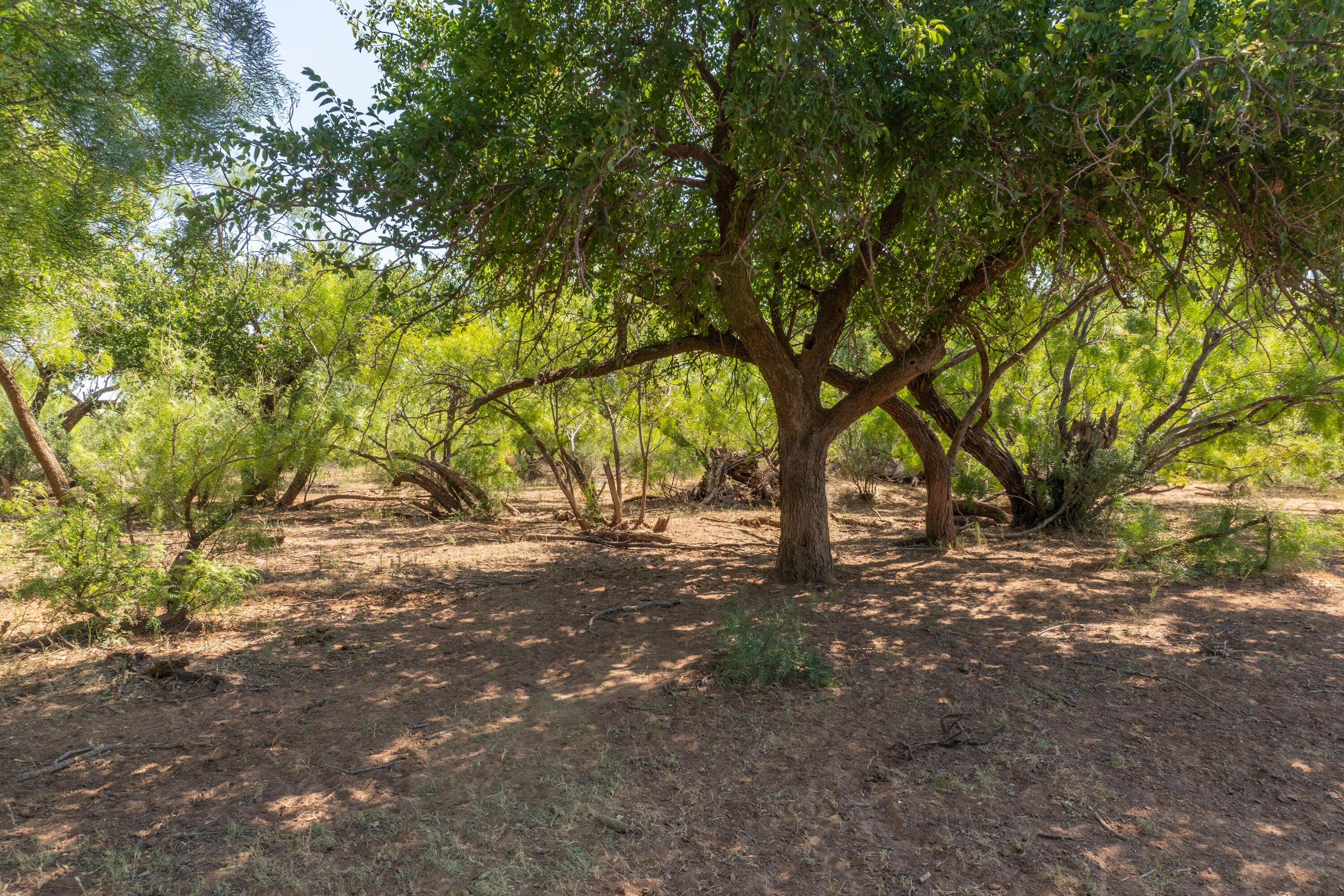 Tbd County Road M Property Photo 35