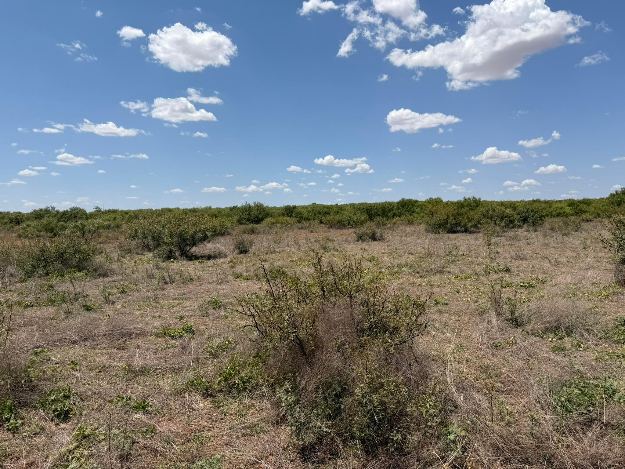 Tbd County Road M Property Photo 39