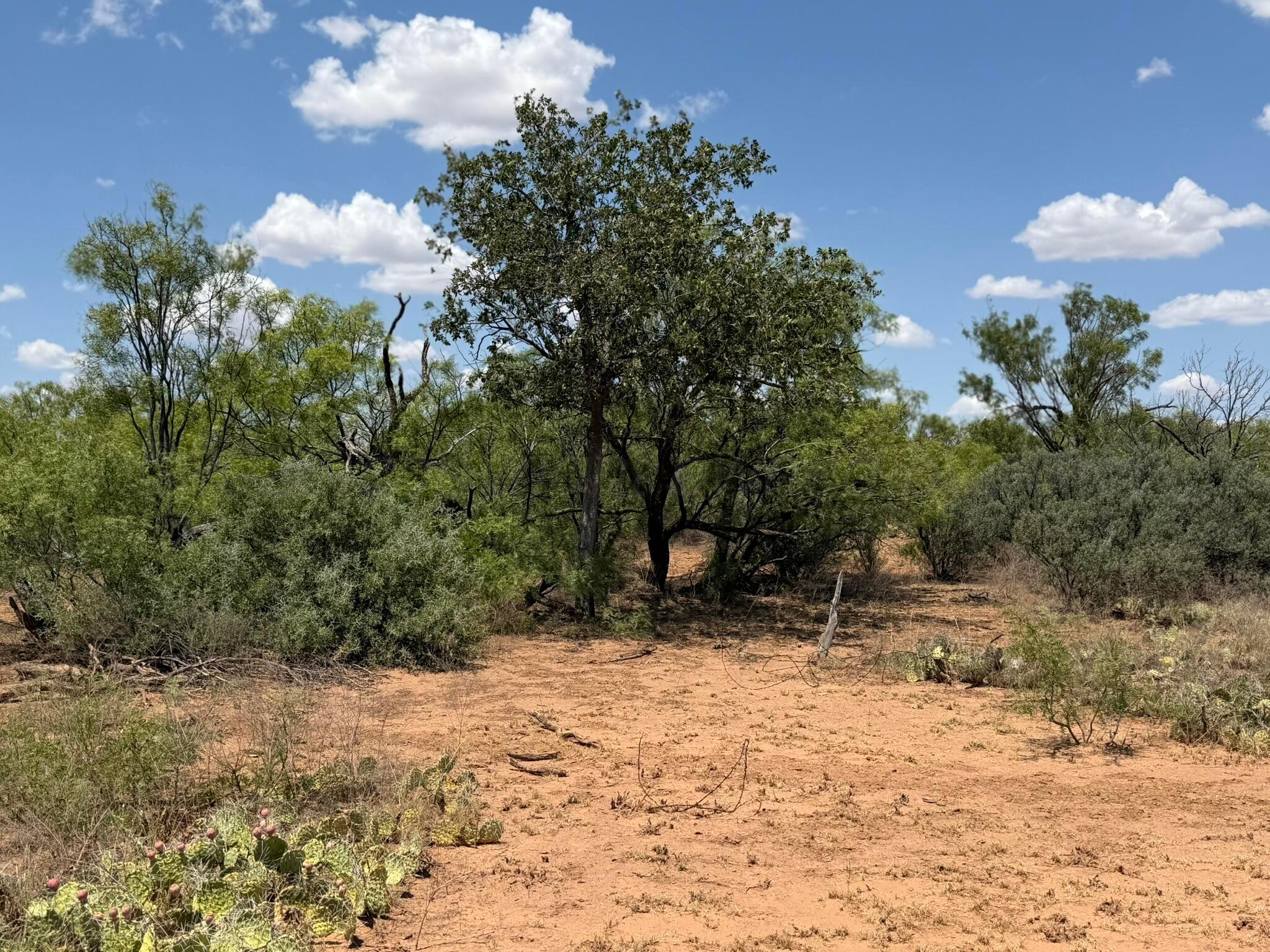 Tbd County Road M Property Photo 43