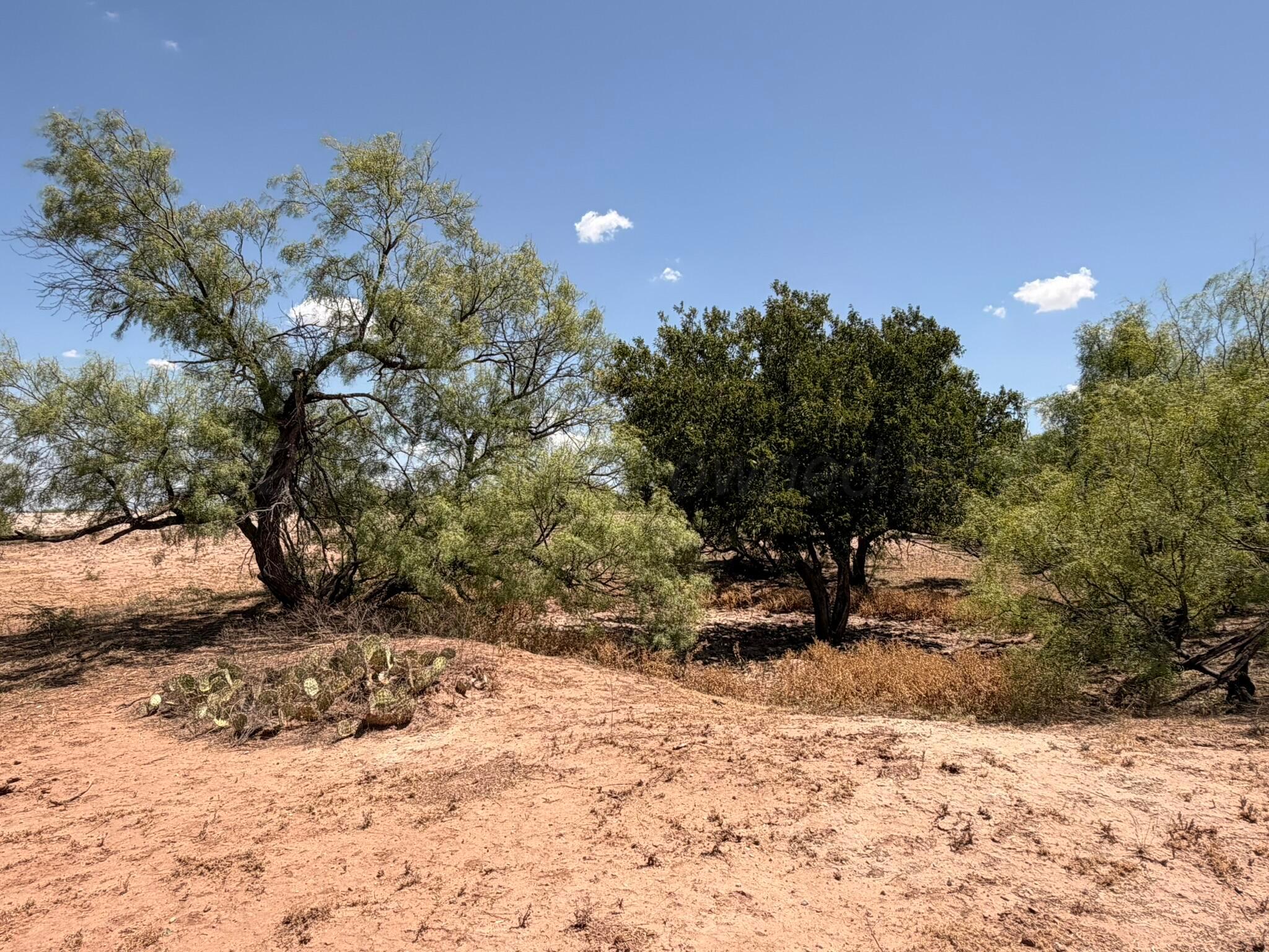 Tbd County Road M Property Photo 45