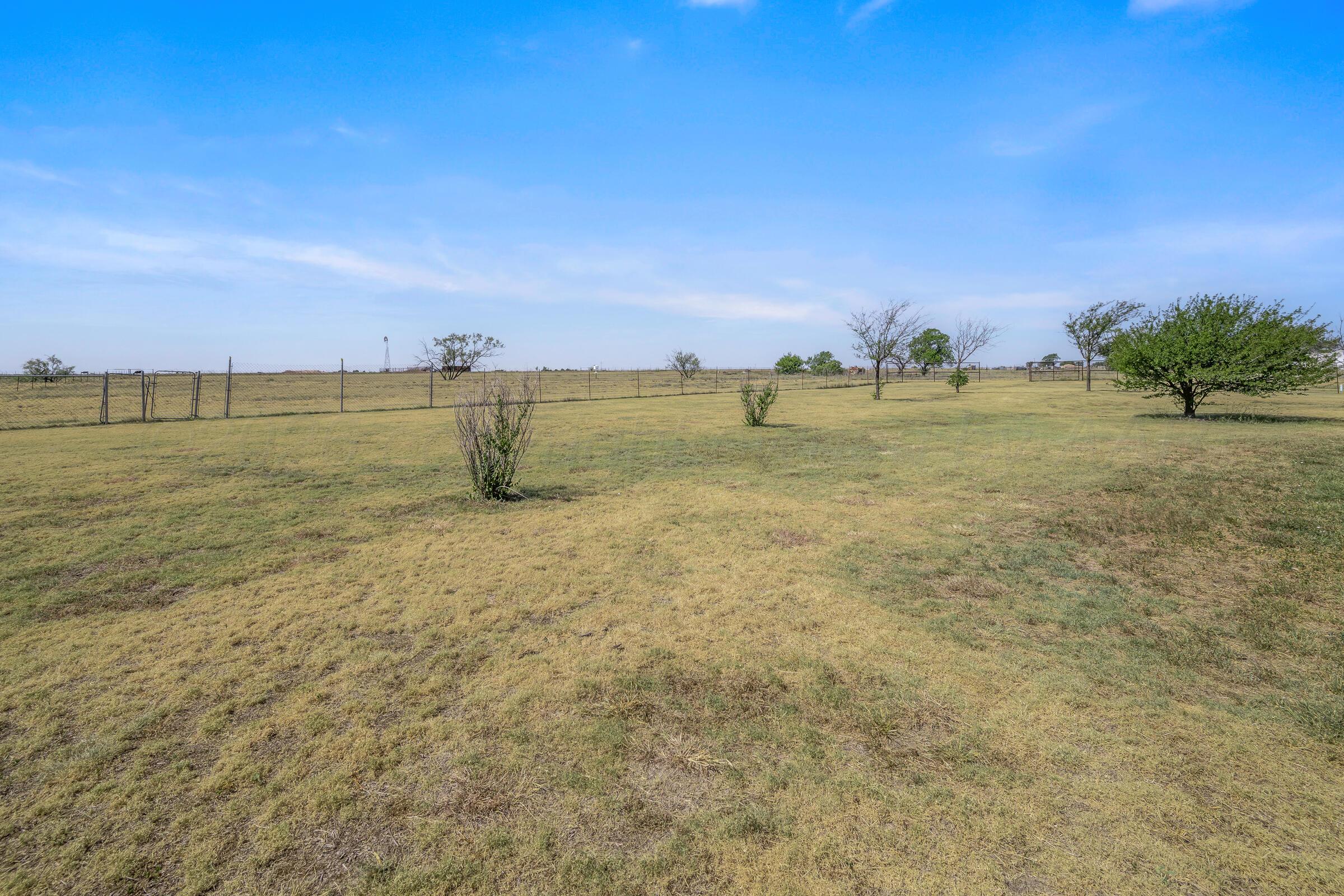 11700 Deer Trail Property Photo 4