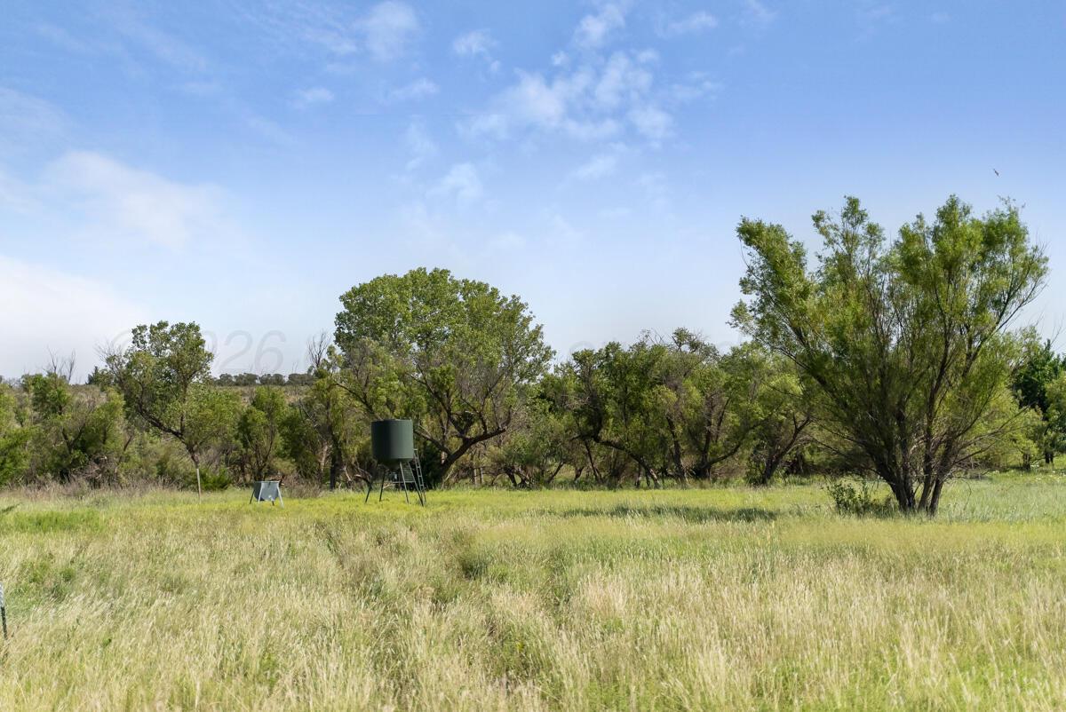 Bar T Ranch Property Photo 6