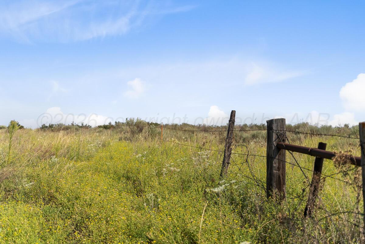 Bar T Ranch Property Photo 7