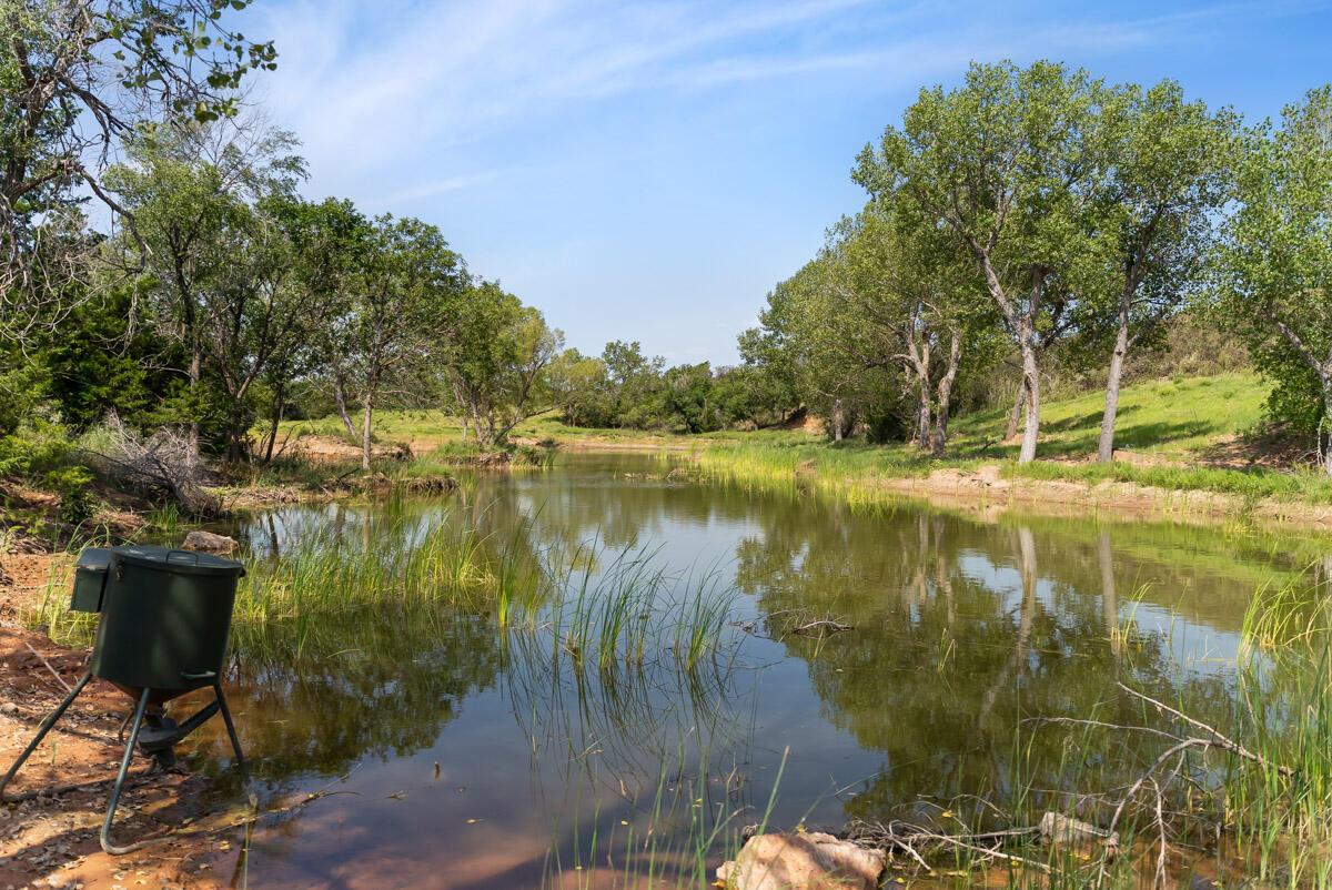 Bar T Ranch Property Photo 9