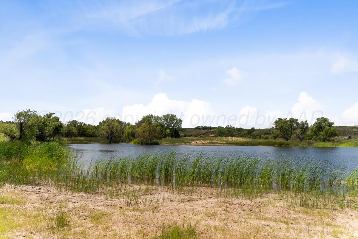 Bar T Ranch Property Photo 10