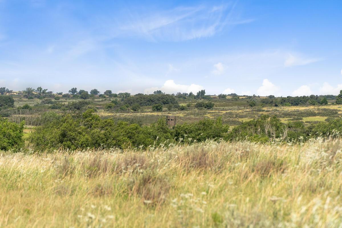 Bar T Ranch Property Photo 12