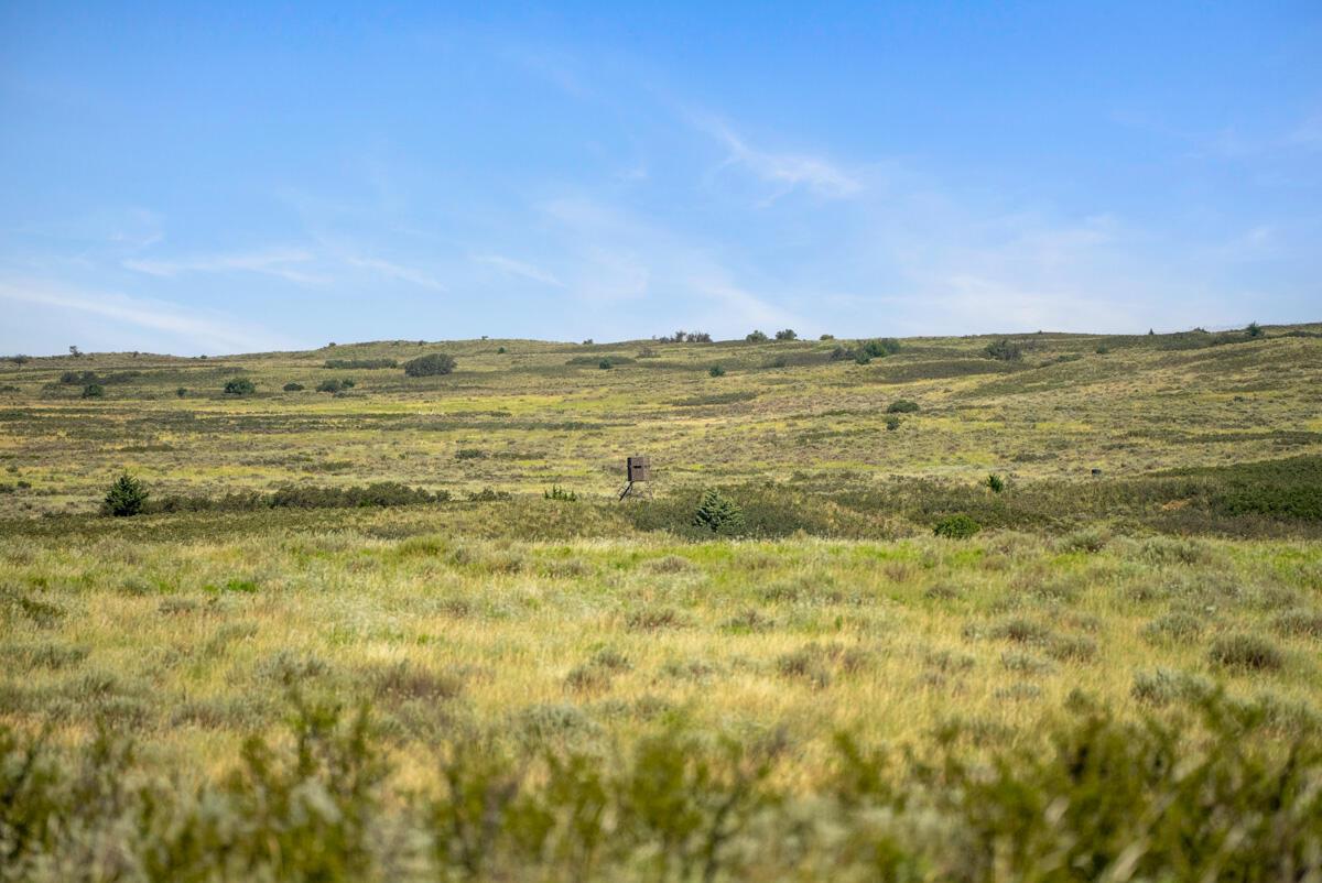 Bar T Ranch Property Photo 13