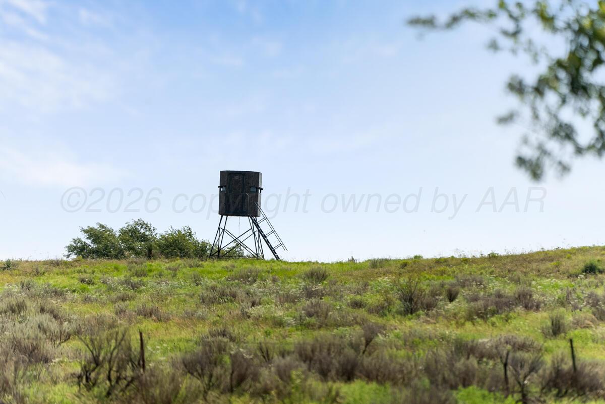 Bar T Ranch Property Photo 16