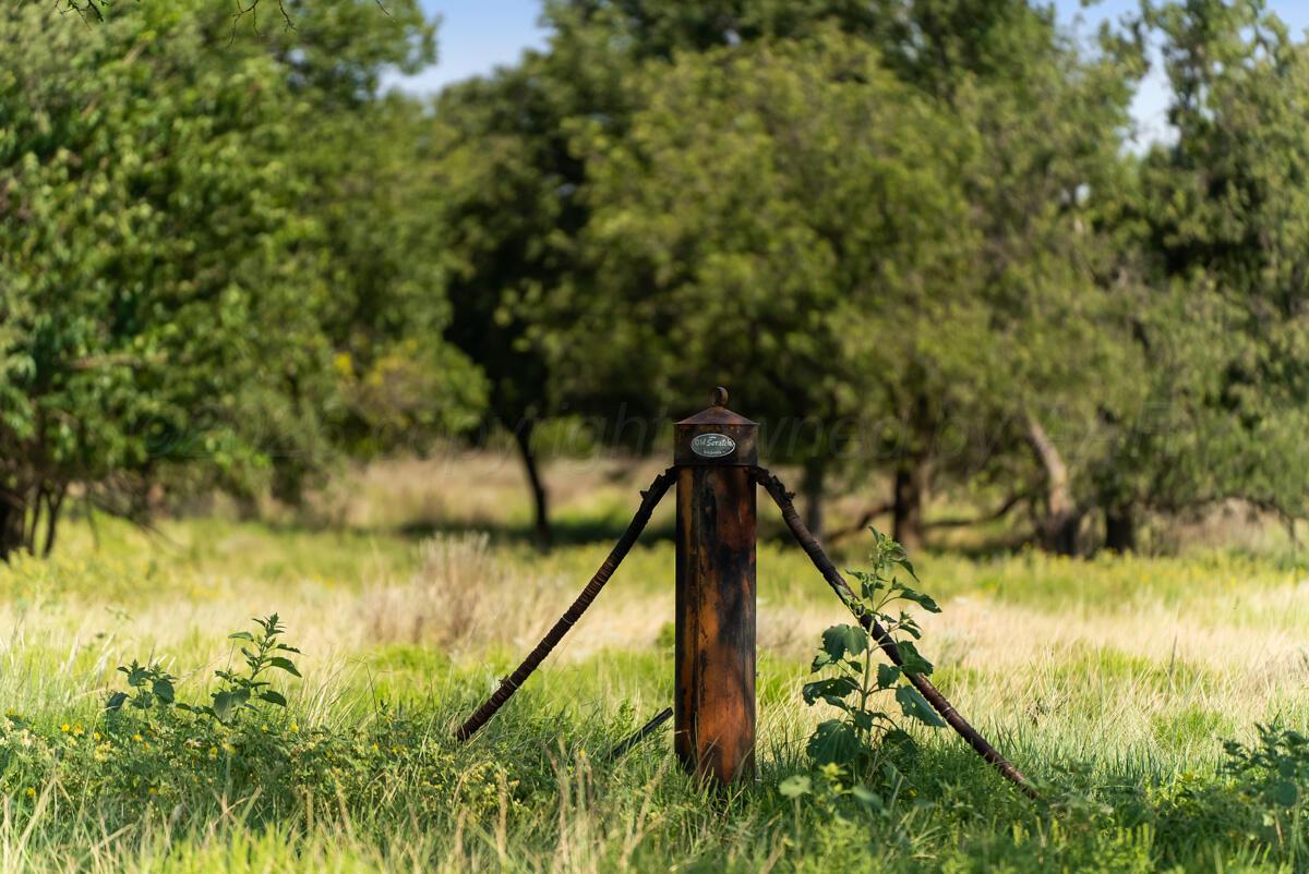 Bar T Ranch Property Photo 17