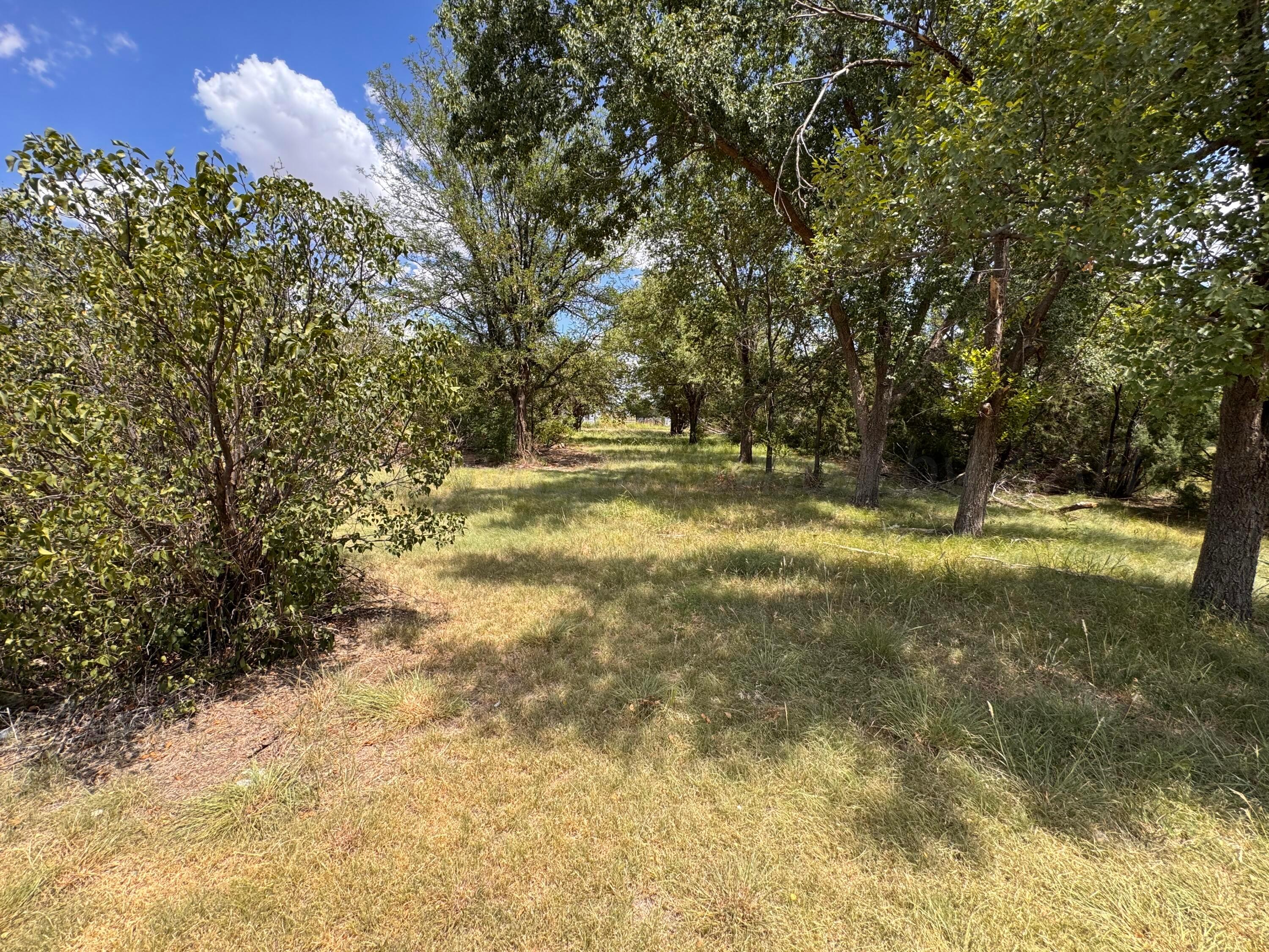 S Brown Avenue Property Photo 21
