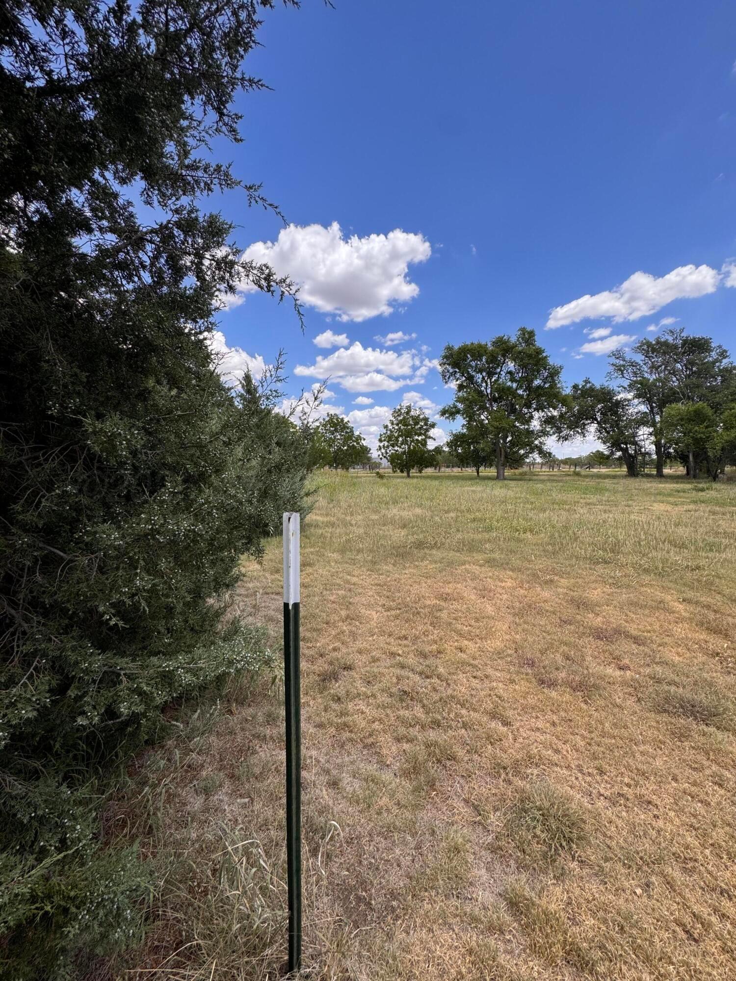 S Brown Avenue Property Photo 26