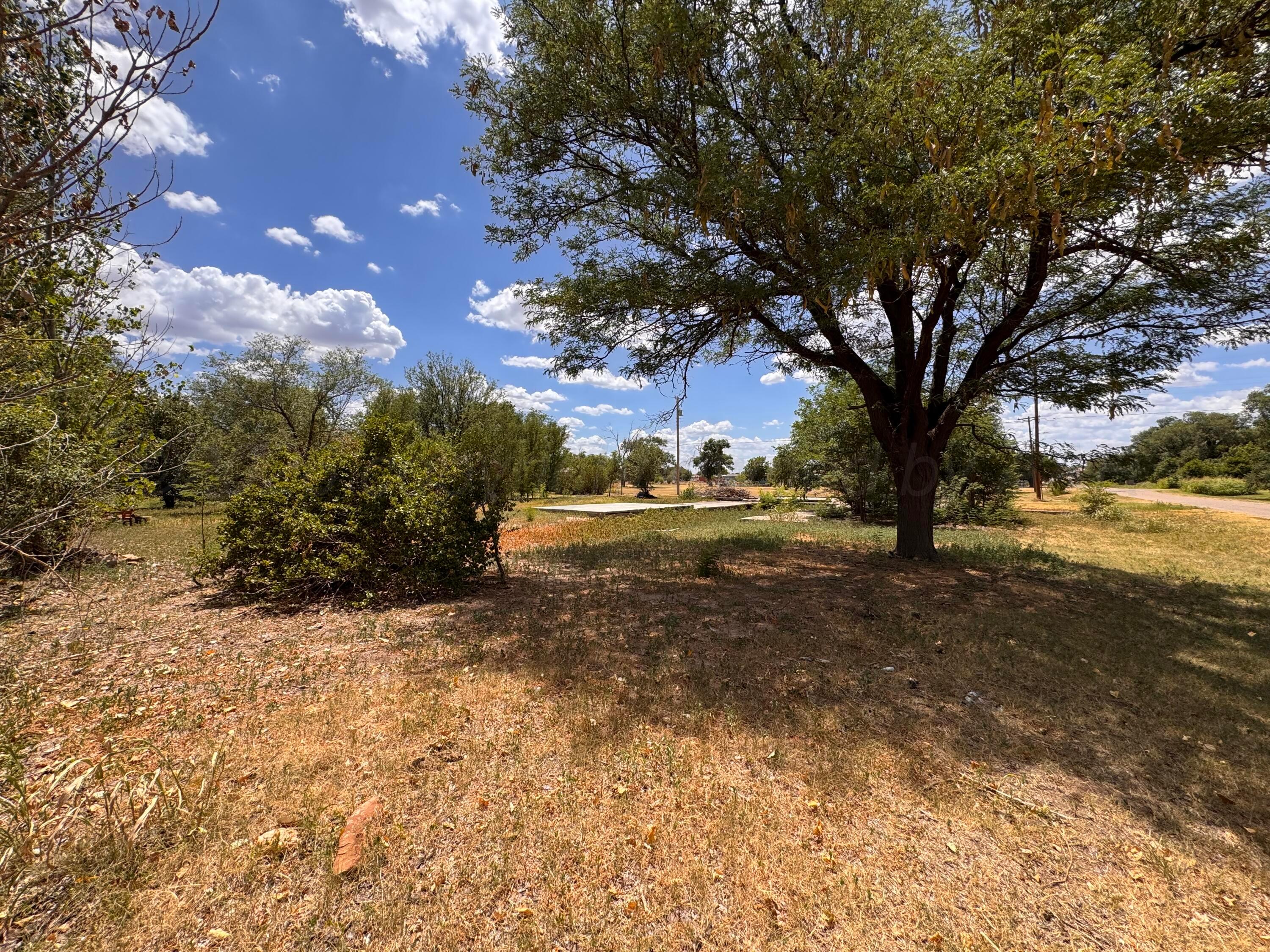 S Brown Avenue Property Photo 29
