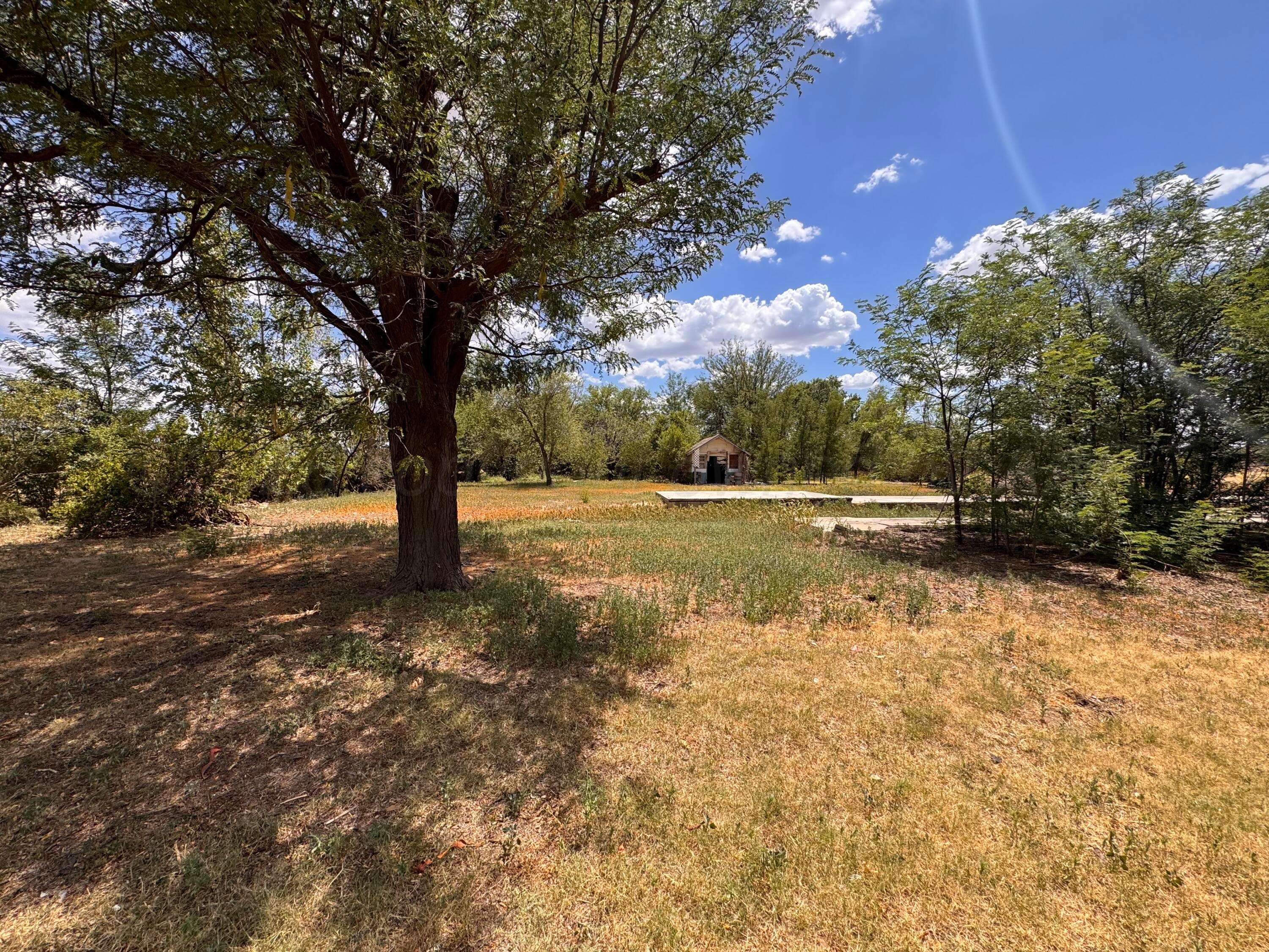 S Brown Avenue Property Photo 30