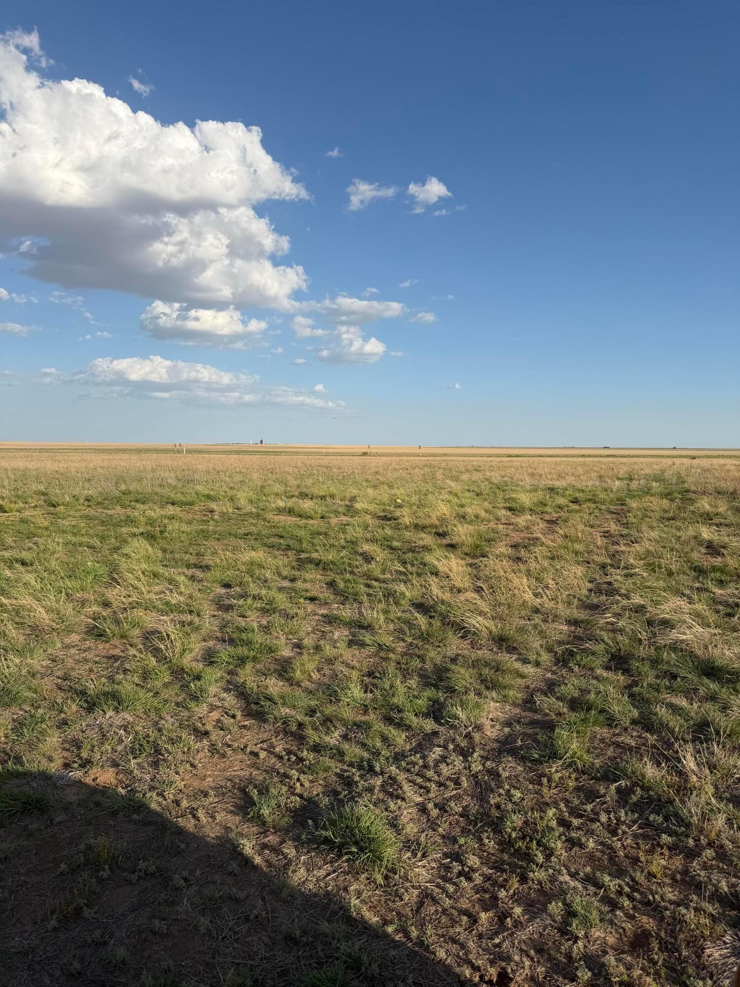 County Rd 305 Property Photo 1
