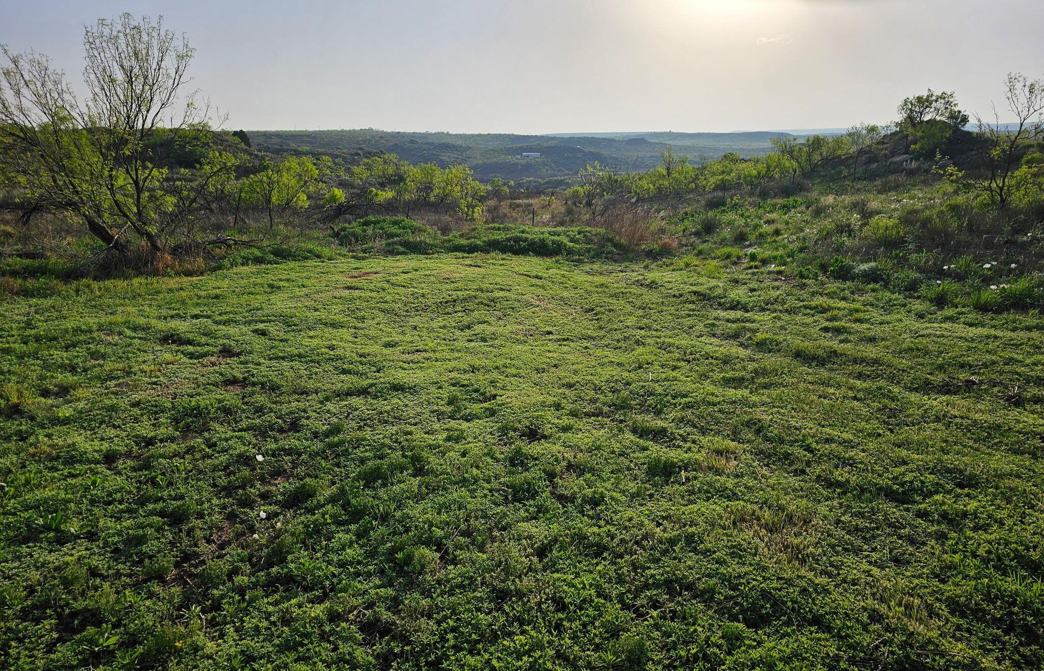 21501 Pawnee Trail Property Photo 32