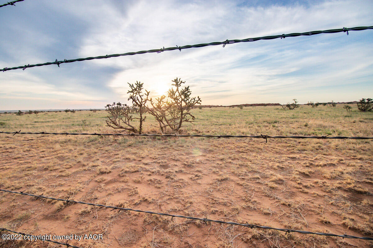 Cemetery Rd Caliche Pit Property Photo 15