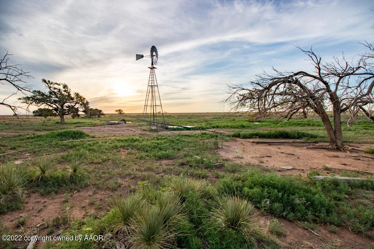 Cemetery Rd Caliche Pit Property Photo 17