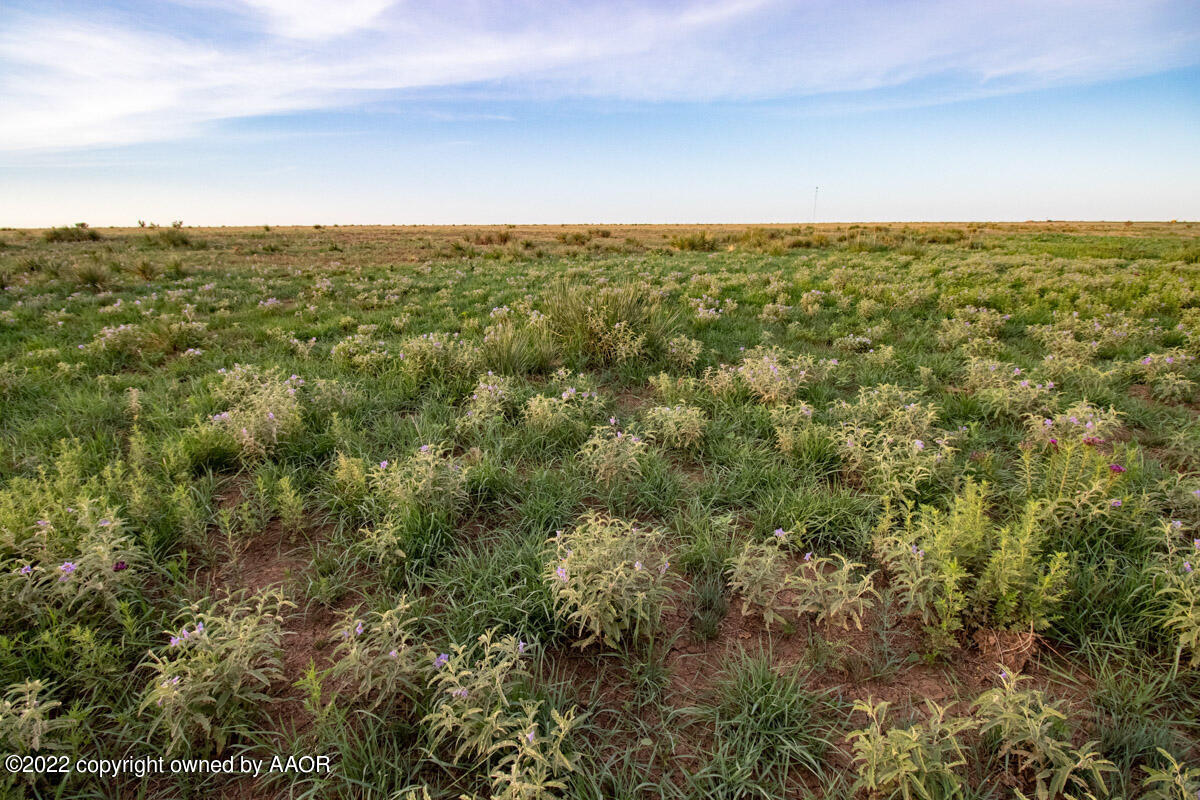 Cemetery Rd Caliche Pit Property Photo 23