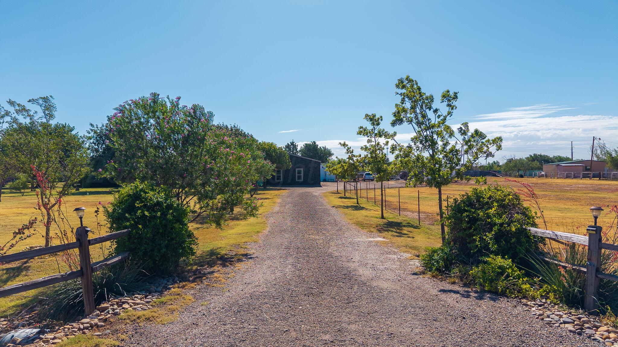 12221 Flying W Trail Property Photo 5